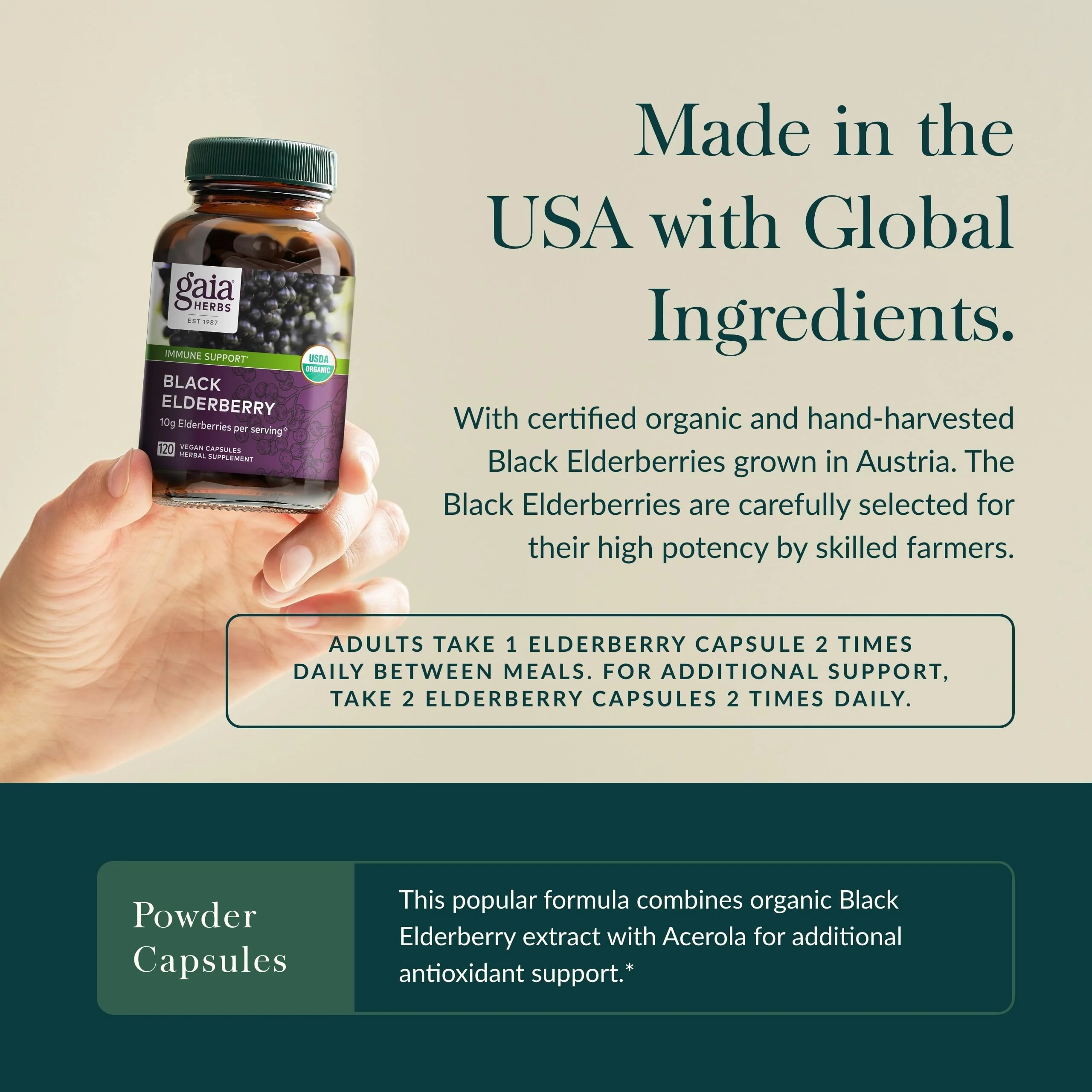 Gaia Herbs Black Elderberry – Daily Immune Support Capsules with Acerola (120 Vegan Capsules, 60 Servings) - Image 3