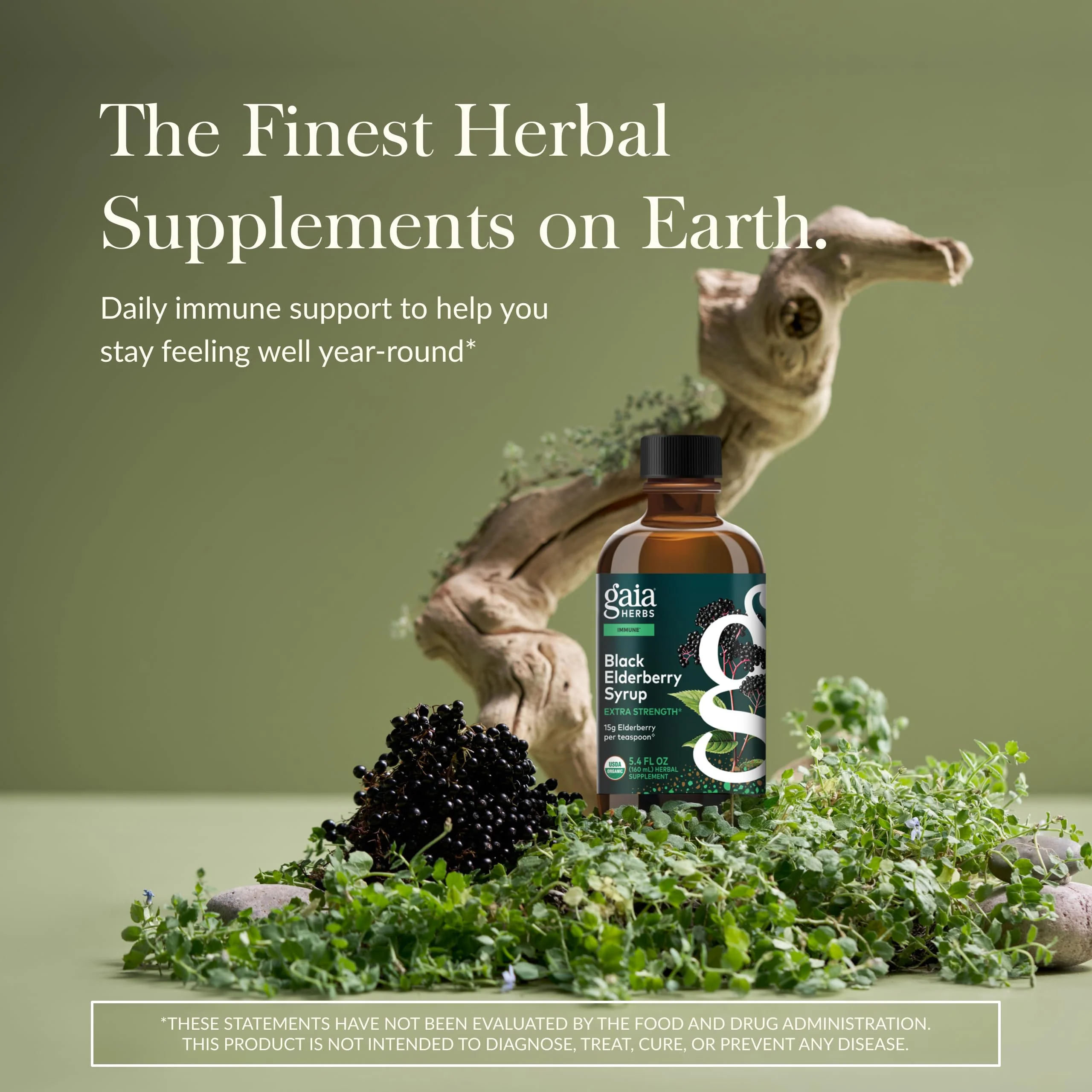 Gaia Herbs Black Elderberry Syrup - Immune Support - Organic Sambucus nigra - 5.4 Fl Oz (32-Day Supply) - USDA Certified Organic - Image 2