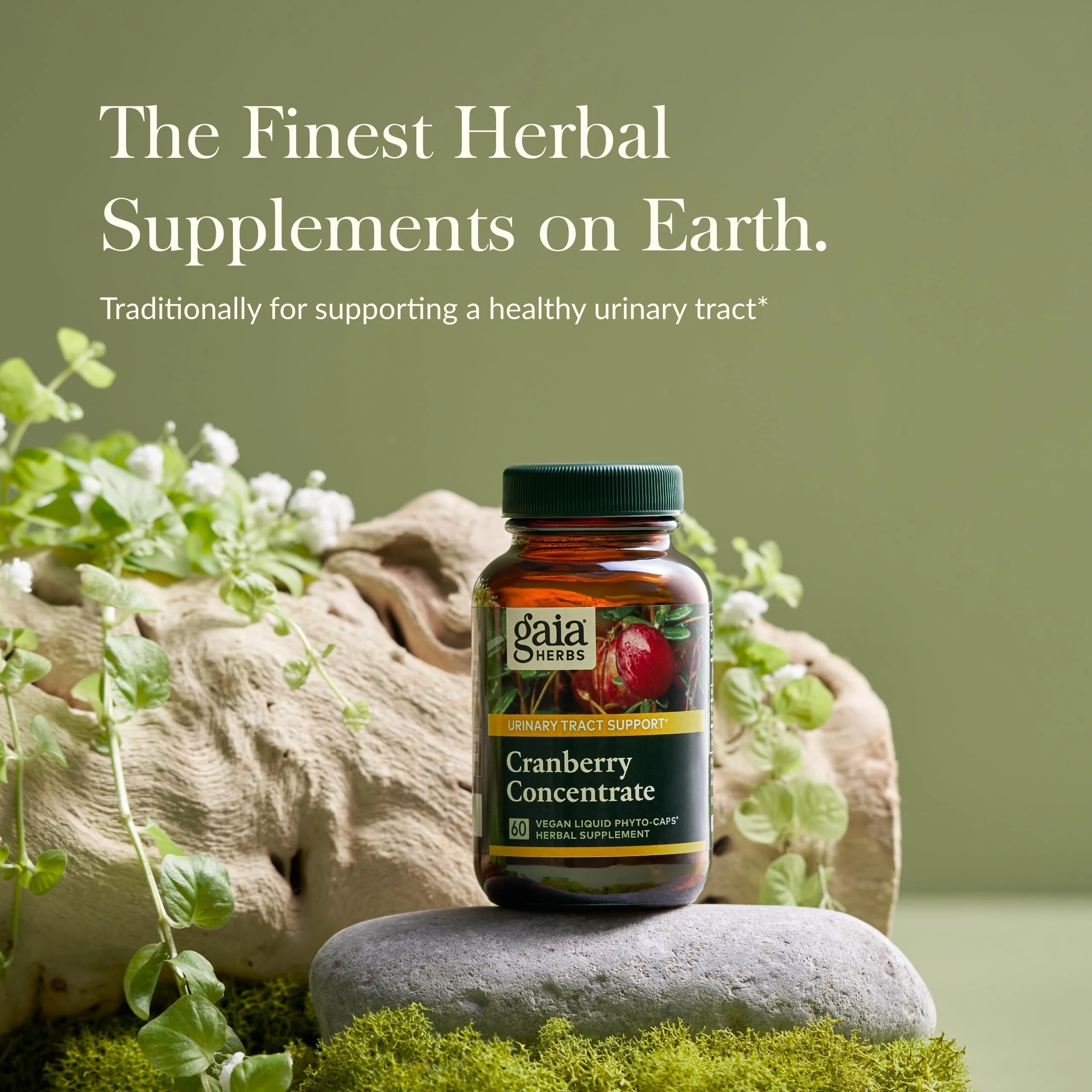 Gaia Herbs Cranberry Concentrate - Urinary Tract Health | 60 Vegan Liquid Phyto-Capsules - Image 2