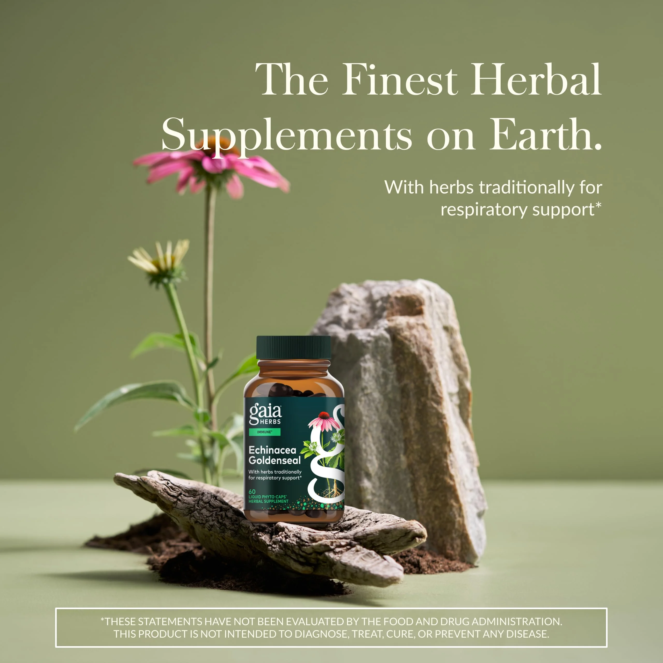 Gaia Herbs Echinacea Goldenseal - Immune Support & Respiratory Health - 60 vegan liquid phyto-capsules - Image 2