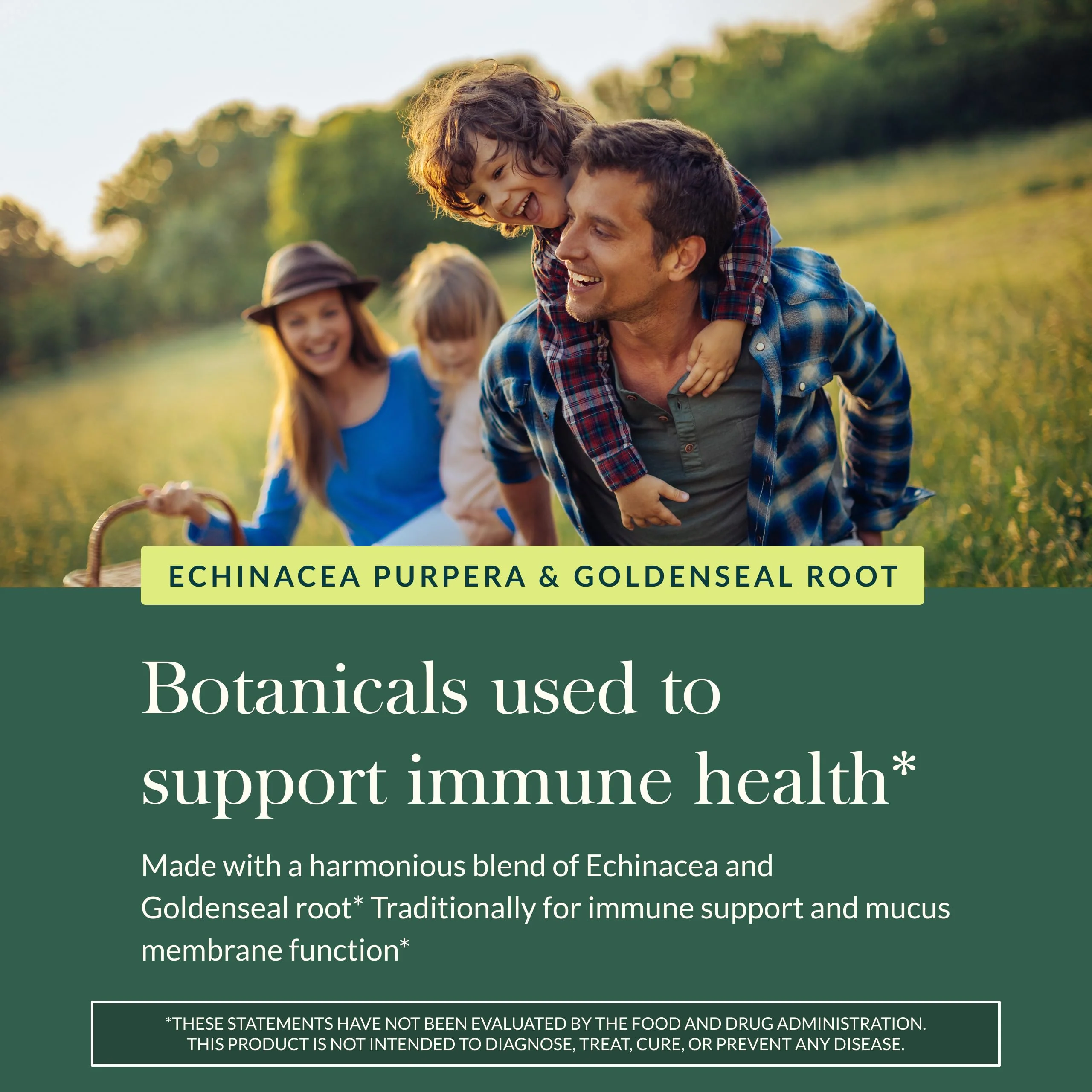 Gaia Herbs Echinacea Goldenseal - Immune Support & Respiratory Health - 60 vegan liquid phyto-capsules - Image 5