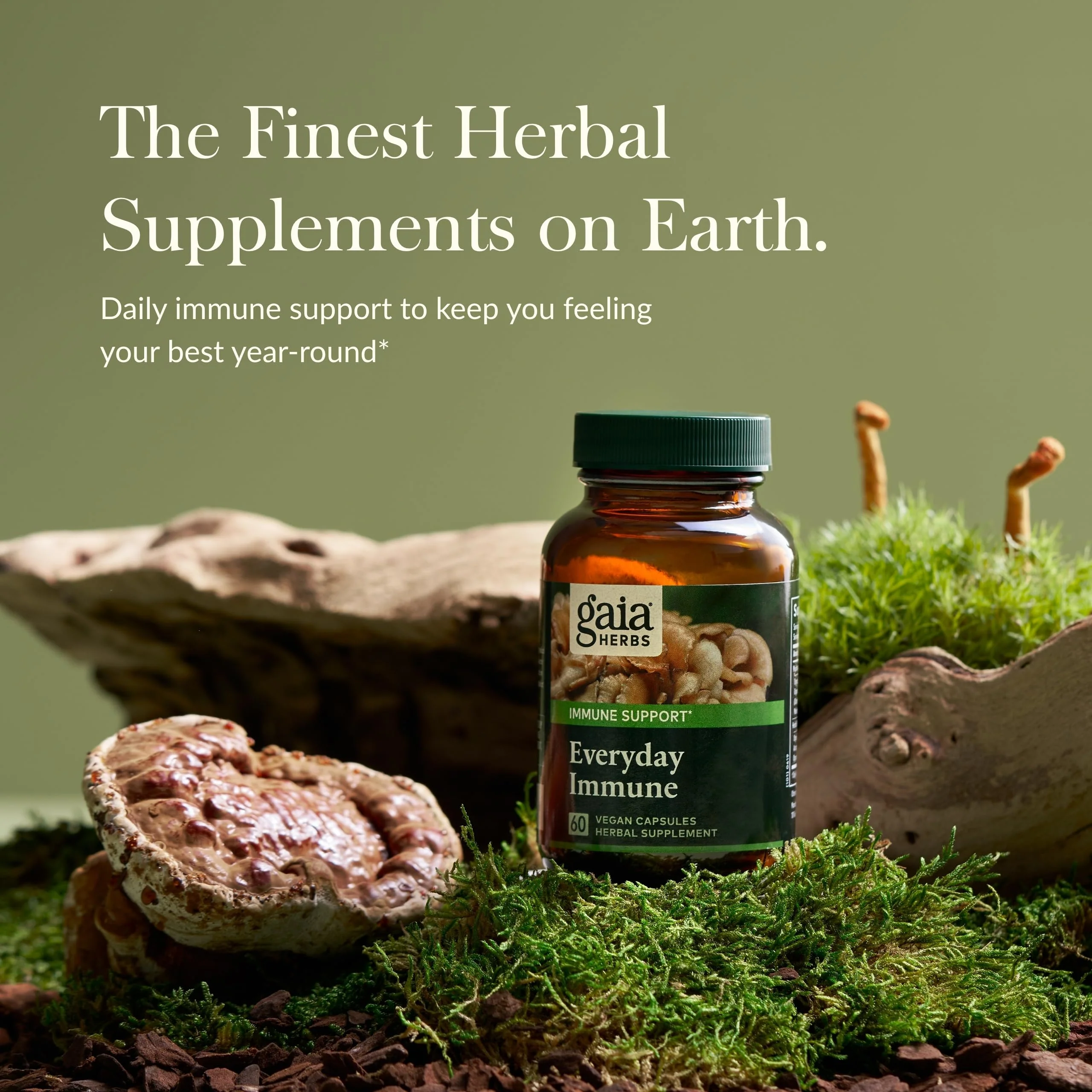 Gaia Herbs Everyday Immune Mushrooms & Herbs — Immune Support (60 Vegan Capsules) - Image 3