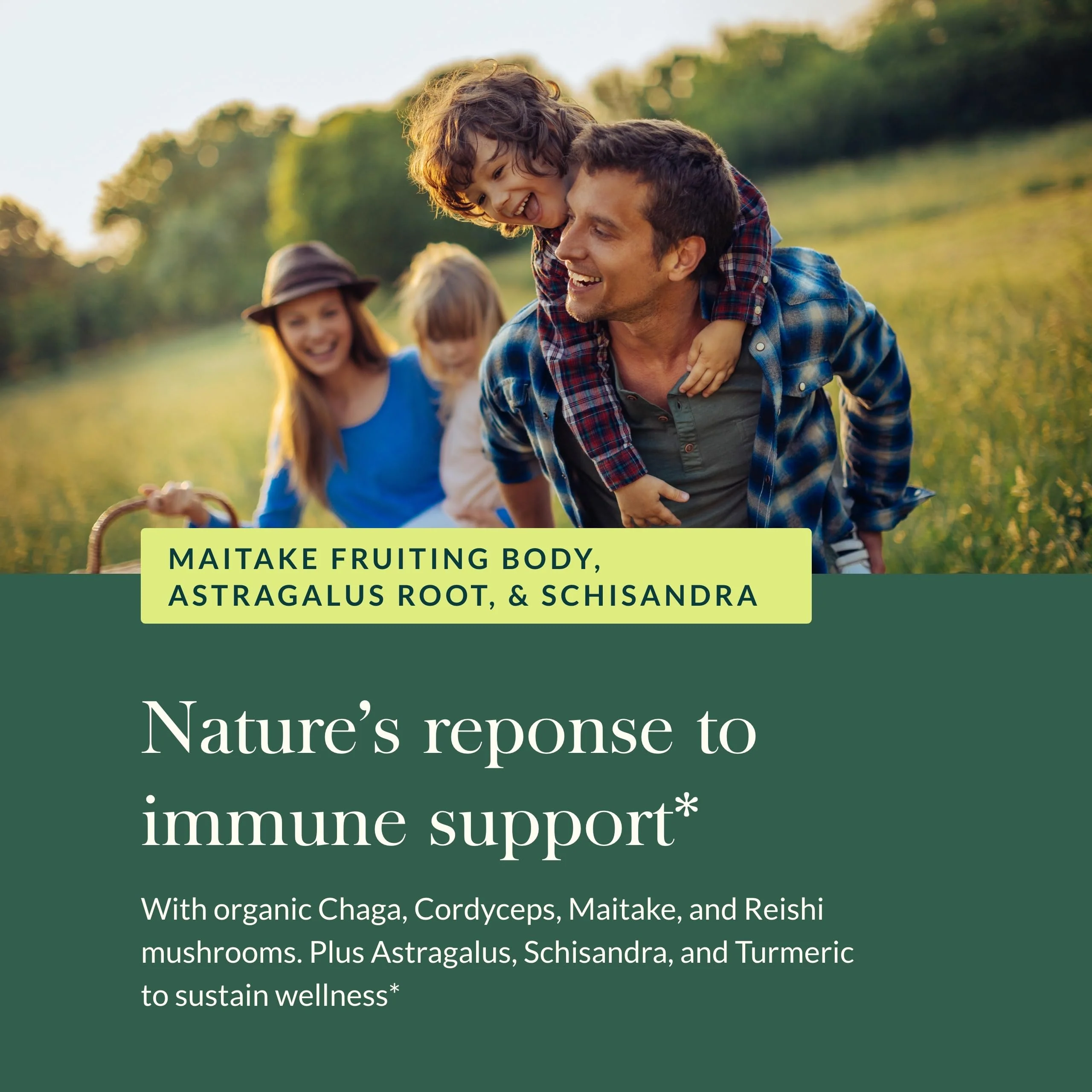 Gaia Herbs Everyday Immune Mushrooms & Herbs — Immune Support (60 Vegan Capsules) - Image 6