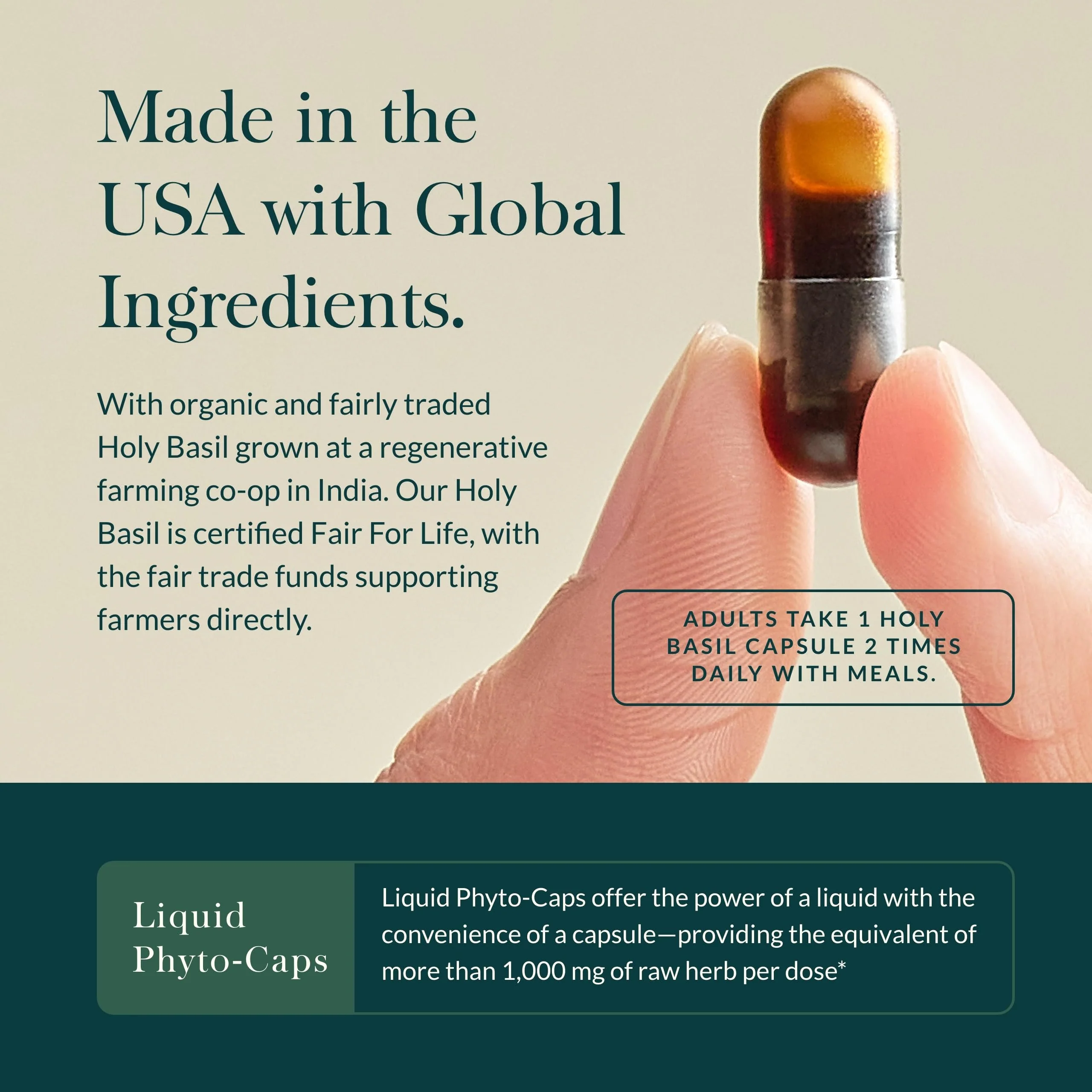 Gaia Herbs Holy Basil Leaf | Adaptogenic Ayurvedic Stress Support | 120 Vegan Liquid Phyto-Caps (60 Servings) - Image 4
