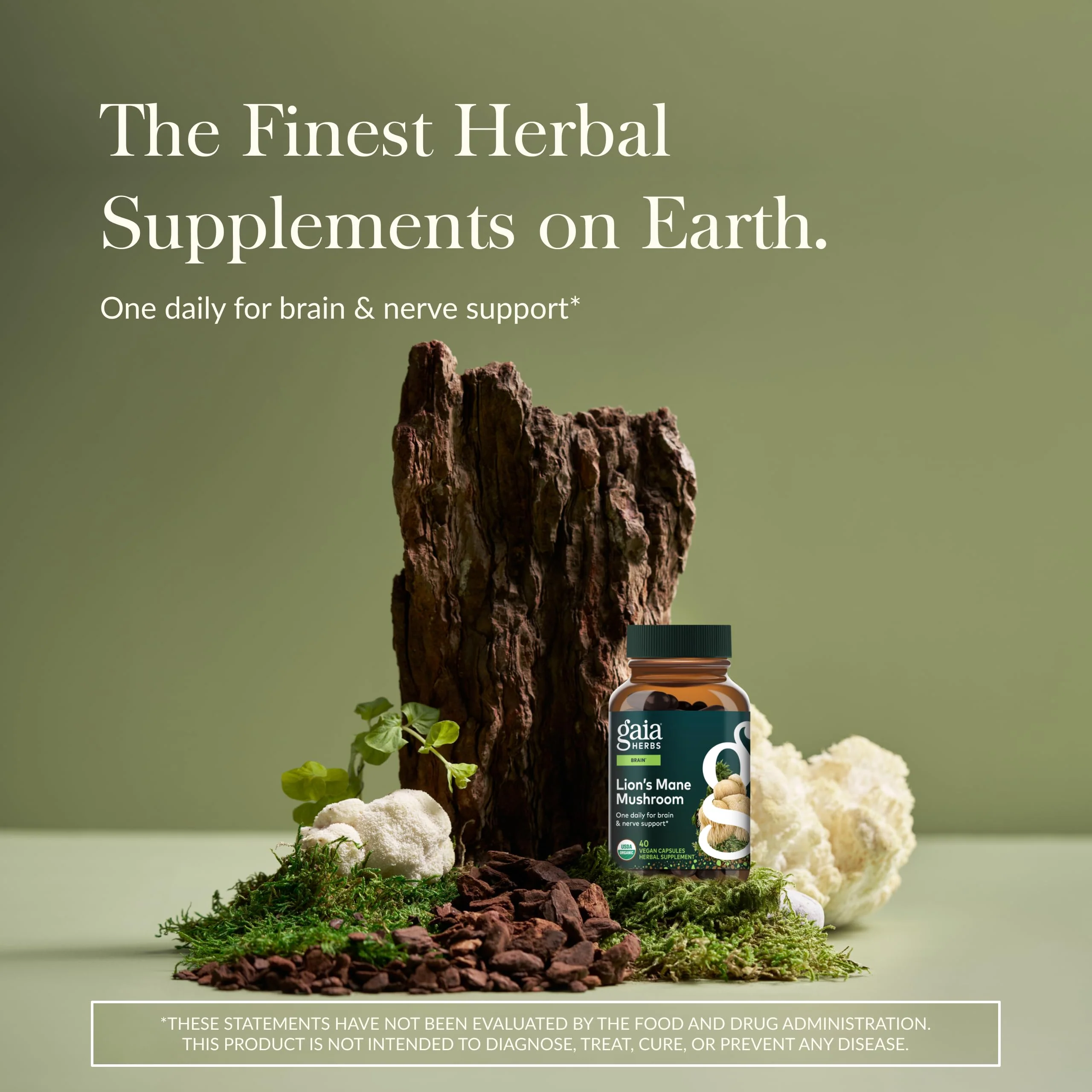 Gaia Herbs Lion’s Mane Mushroom – Brain & Nerve Health Support* | 40 Vegan Capsules - Image 2