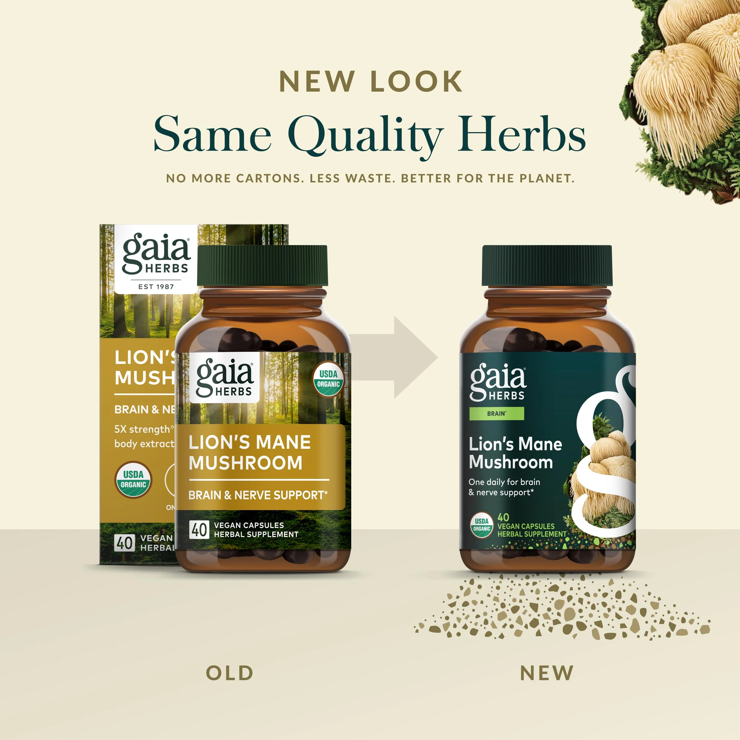 Gaia Herbs Lion’s Mane Mushroom – Brain & Nerve Health Support* | 40 Vegan Capsules - Image 6