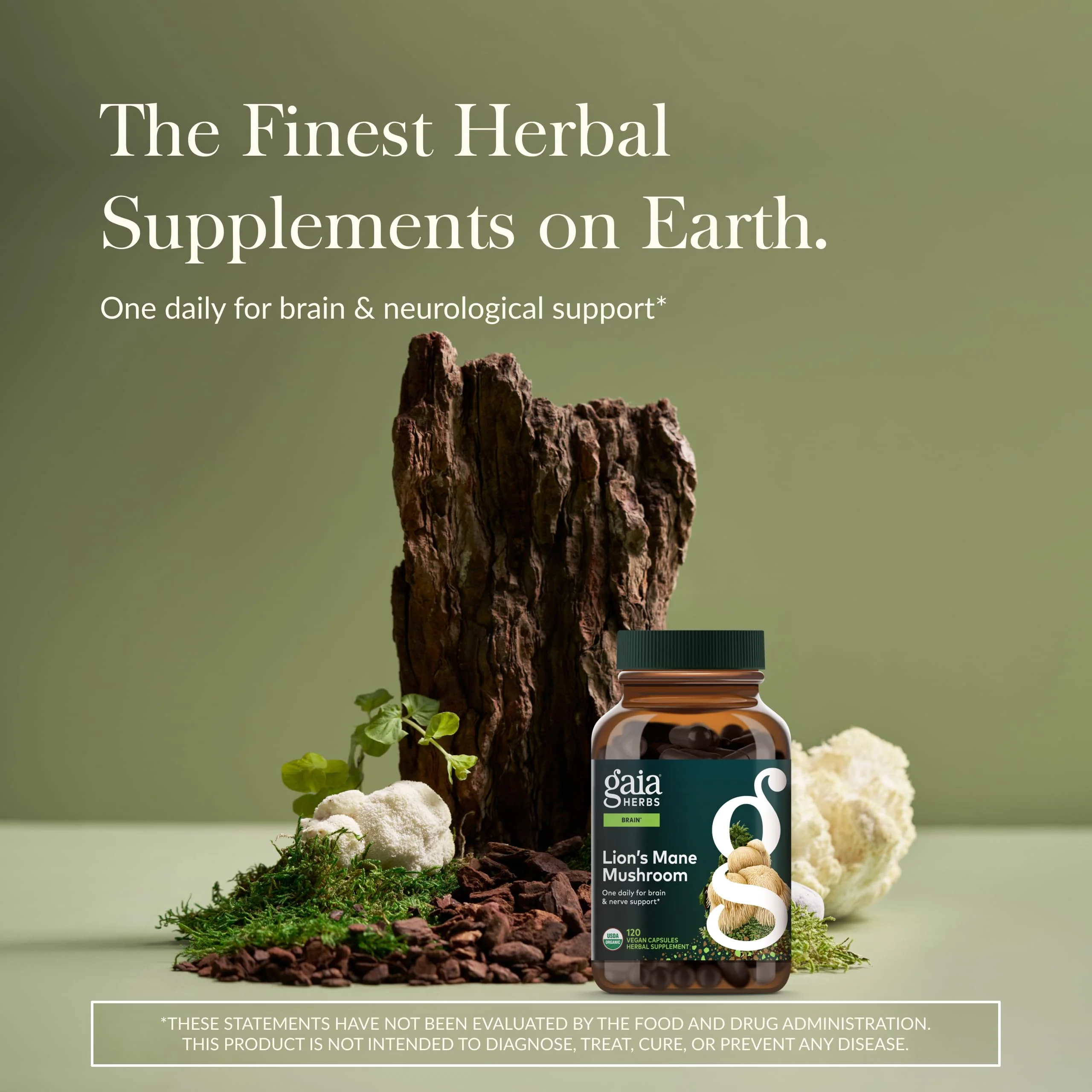 Gaia Herbs Lion's Mane Mushroom – Brain & Nerve Support, 120 Vegan Capsules - Image 2