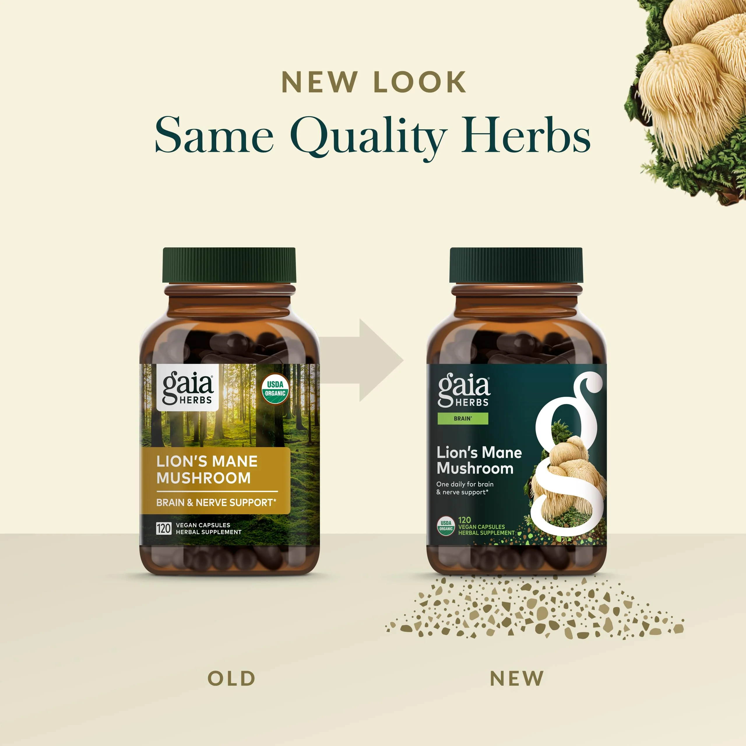 Gaia Herbs Lion's Mane Mushroom – Brain & Nerve Support, 120 Vegan Capsules - Image 6