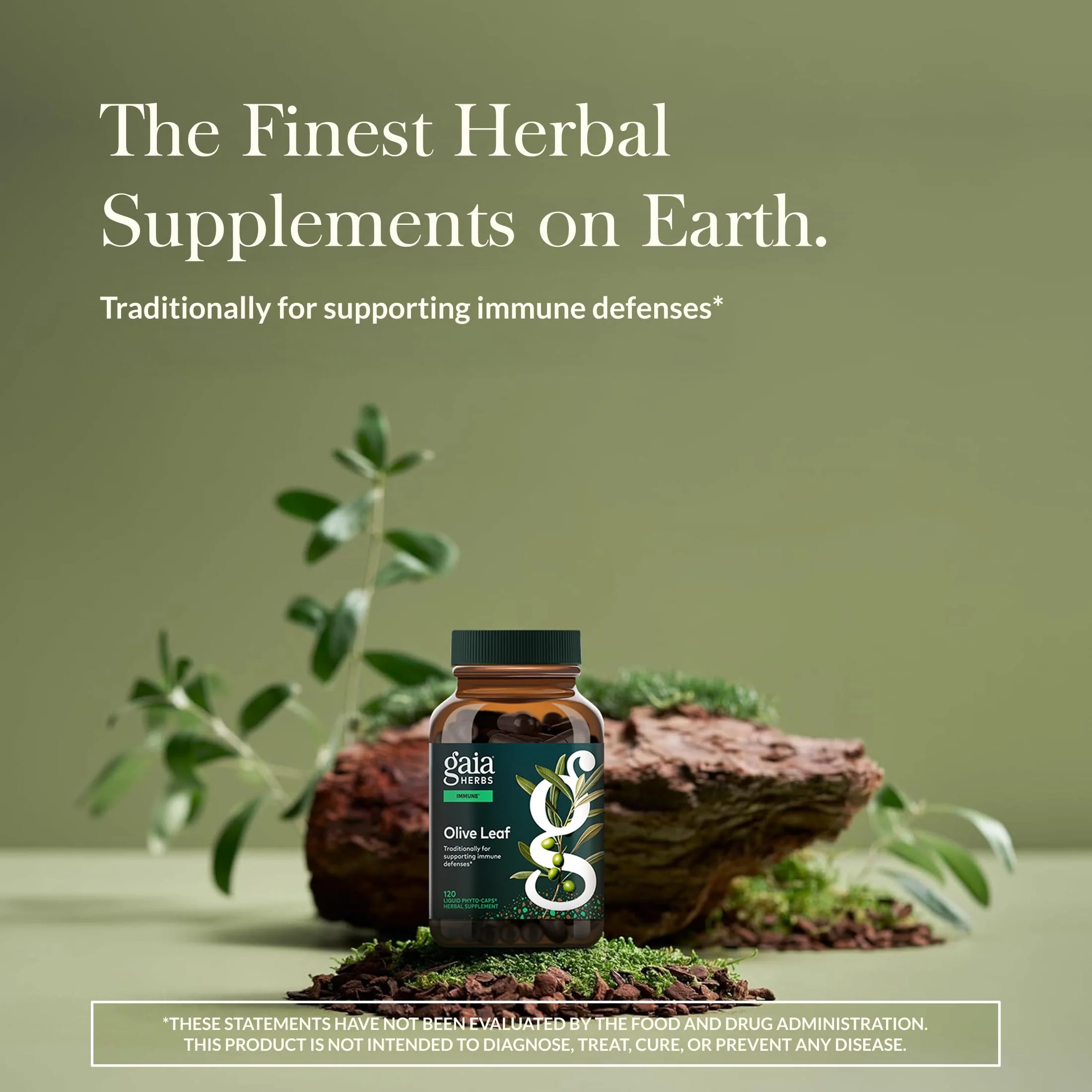 Gaia Herbs Olive Leaf - Traditional Immune Support with Oleuropein | 120 Vegan Liquid Phyto-Caps - Image 11