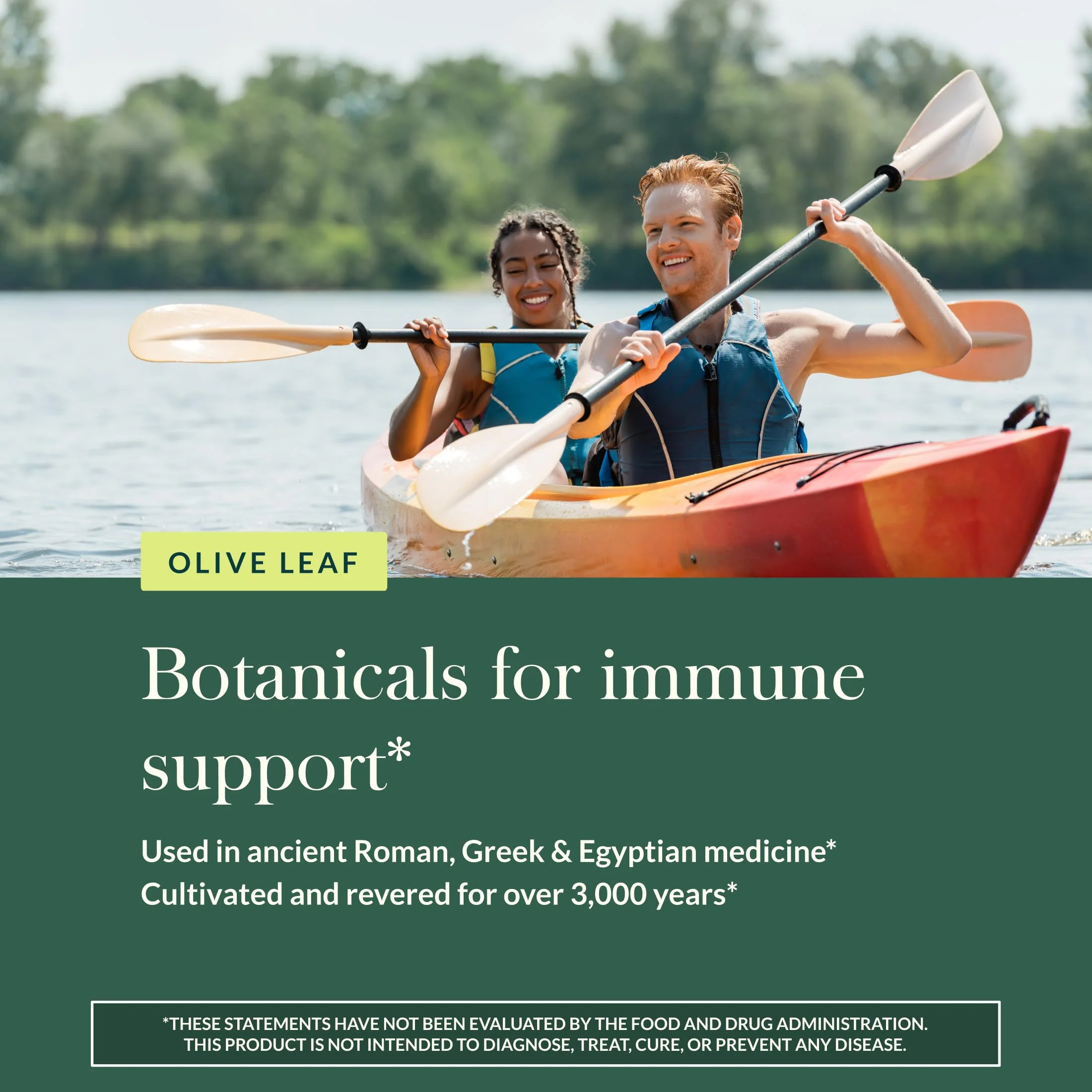 Gaia Herbs Olive Leaf - Traditional Immune Support with Oleuropein | 120 Vegan Liquid Phyto-Caps - Image 14