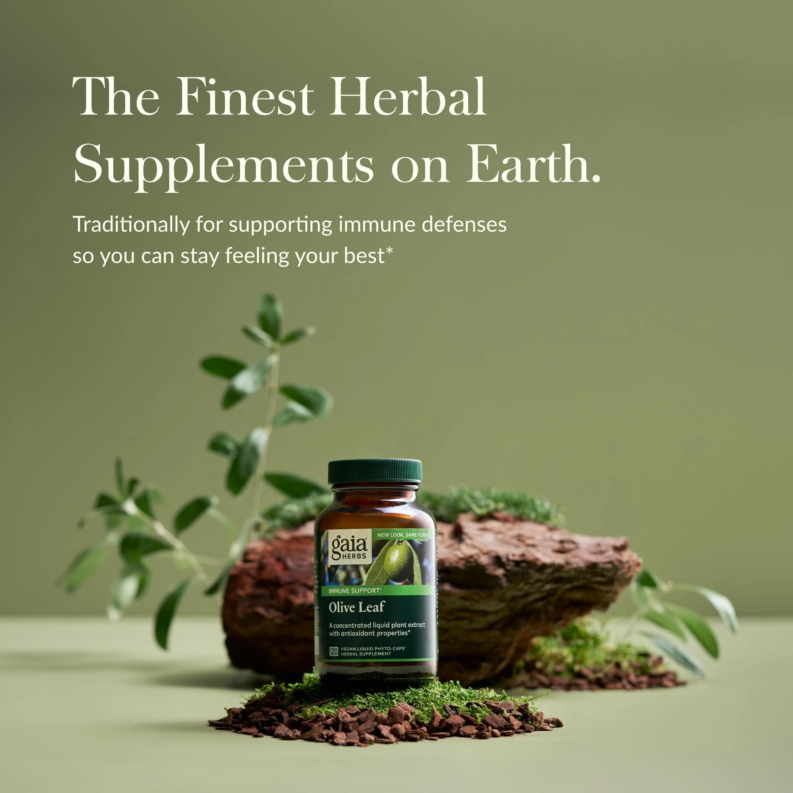 Gaia Herbs Olive Leaf - Traditional Immune Support with Oleuropein | 120 Vegan Liquid Phyto-Caps - Image 2