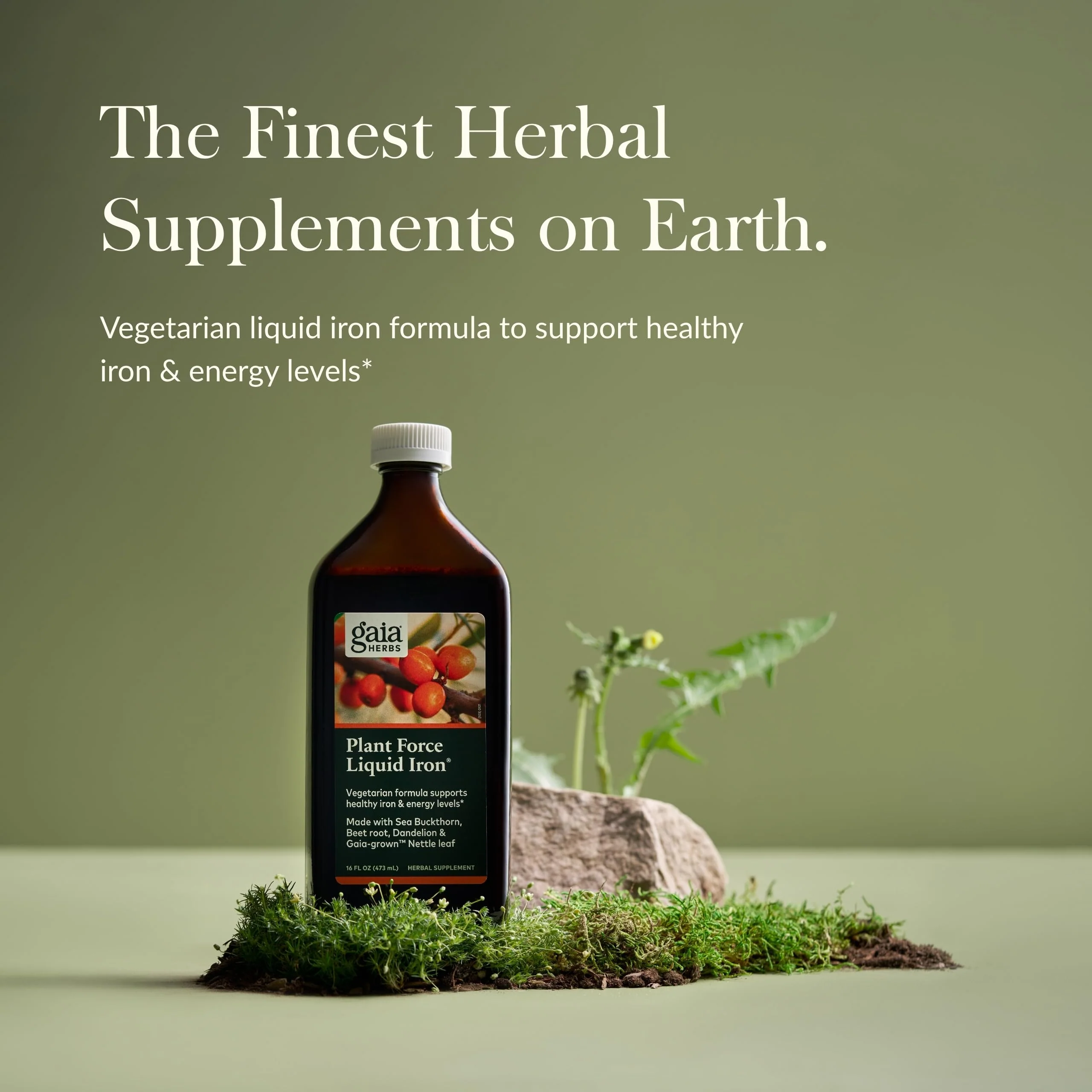 Gaia Herbs Plant Force Liquid Iron – Vegetarian Iron Supplement for Energy & Iron Support – 16 fl oz - Image 2