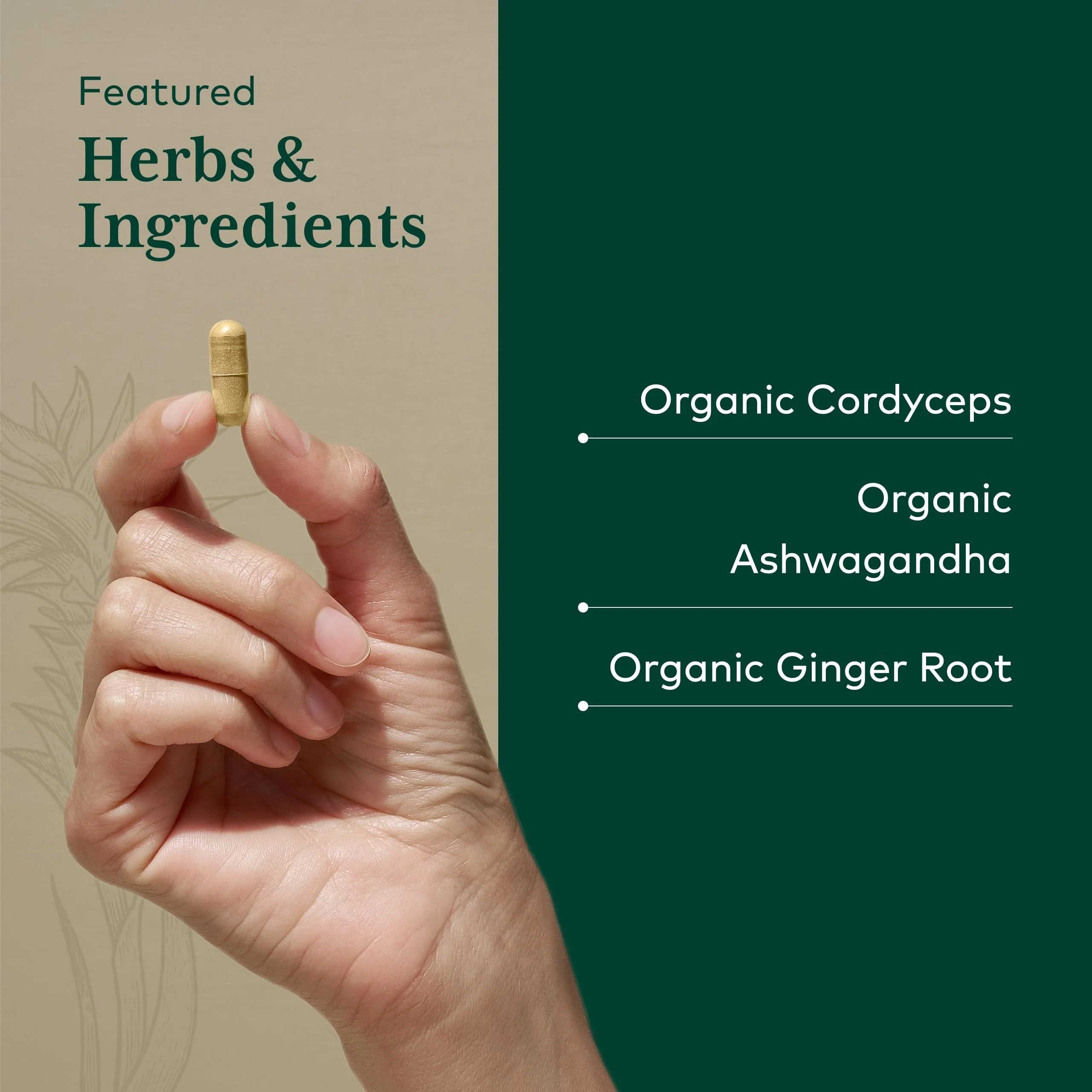 GAIA HERBS PRO Adaptogen Performance - Endurance & Energy Support with Cordyceps & Ashwagandha (120 Capsules, 60 Servings) - Image 4