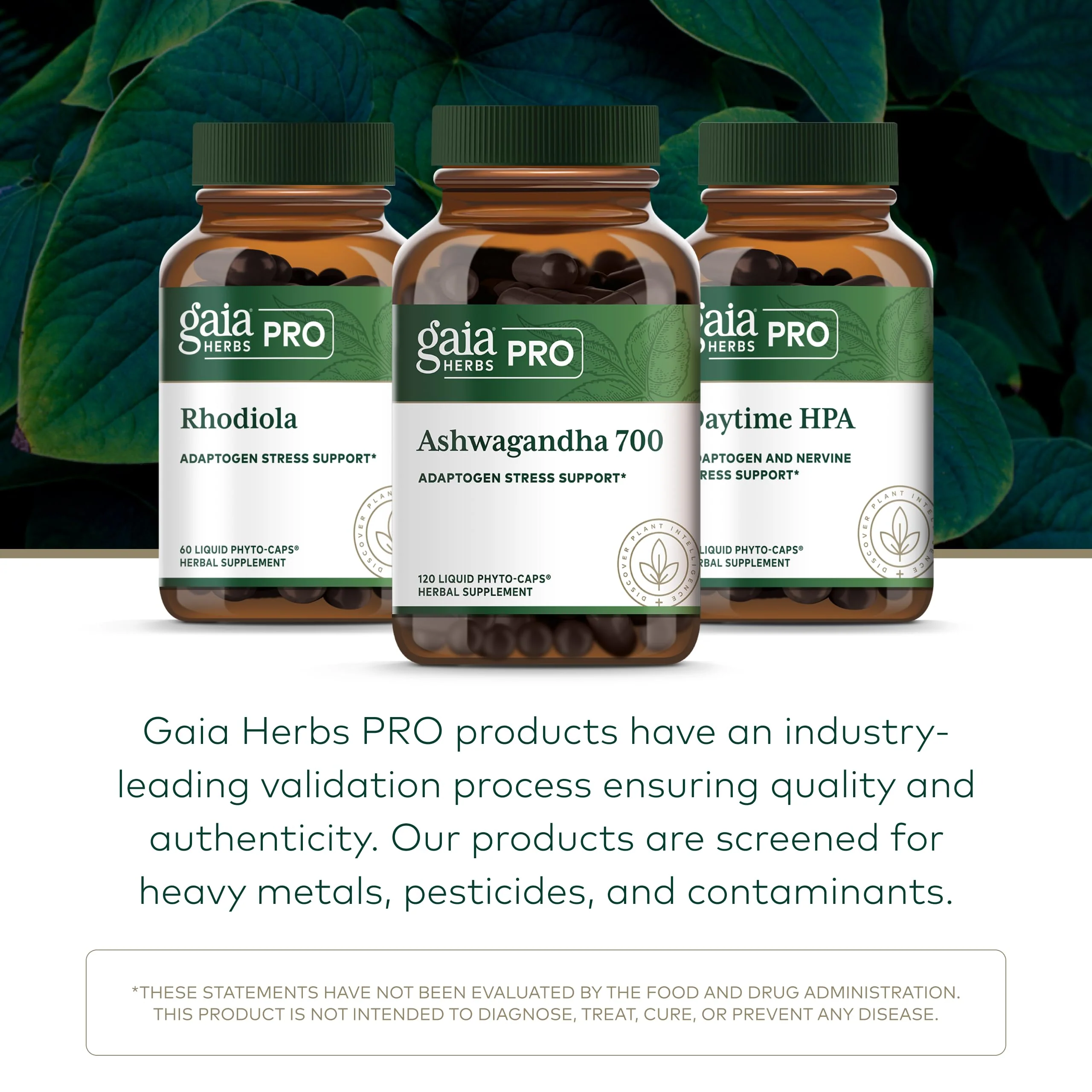 GAIA HERBS PRO Ashwagandha 700 - Immune Support & Calm, 120 Liquid Phyto-Caps (60 Servings) - Image 13