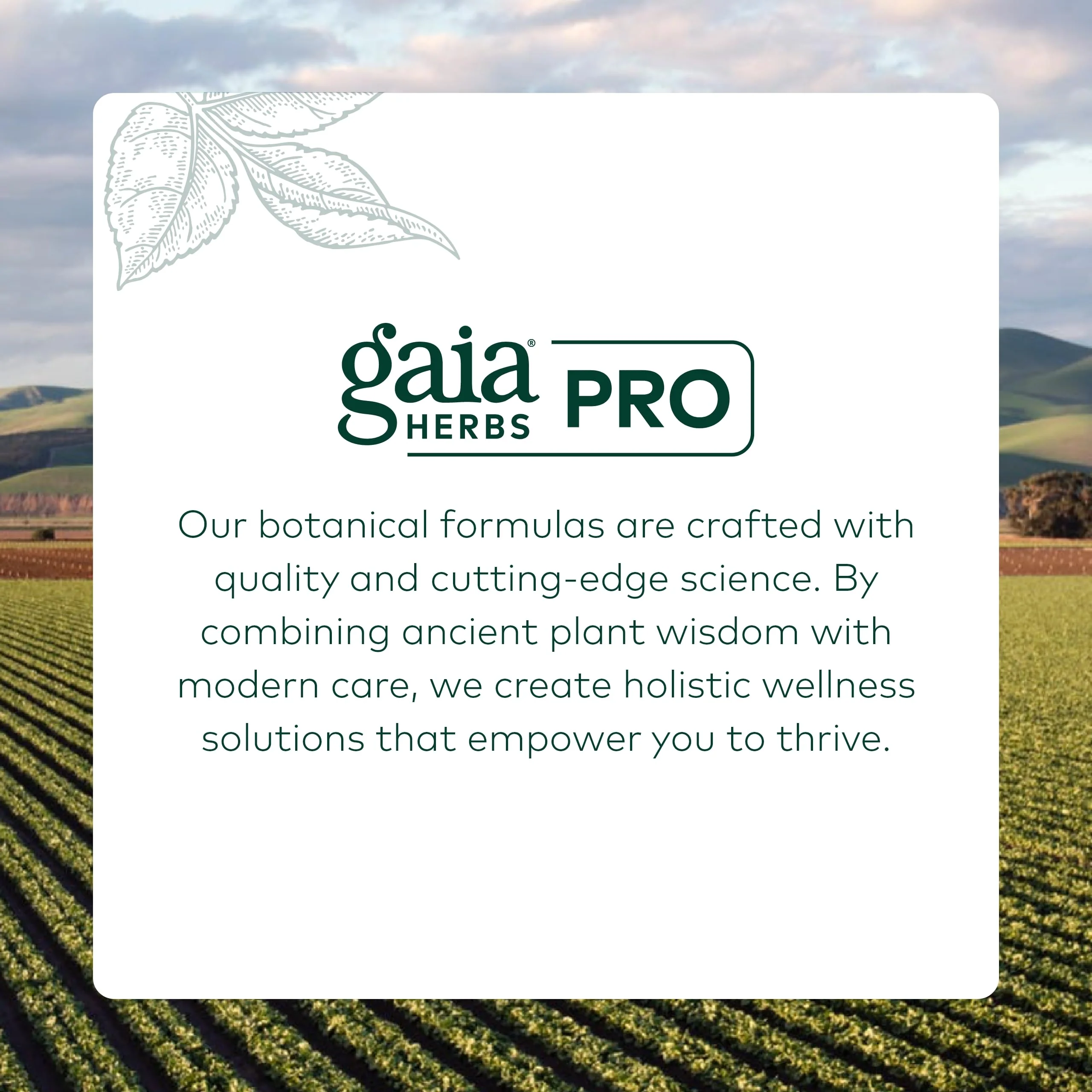 GAIA HERBS PRO Ashwagandha 700 - Immune Support & Calm, 120 Liquid Phyto-Caps (60 Servings) - Image 14