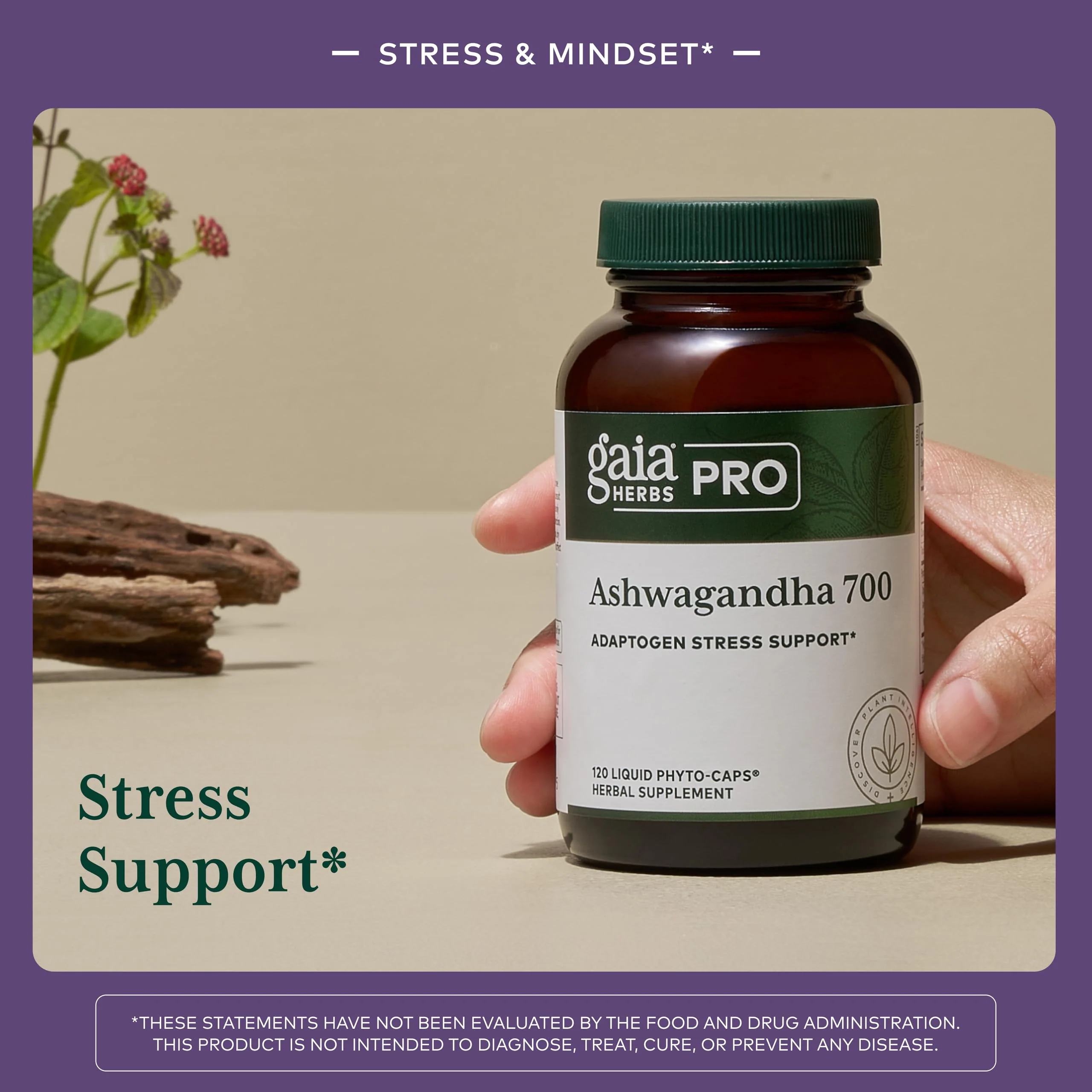 GAIA HERBS PRO Ashwagandha 700 - Immune Support & Calm, 120 Liquid Phyto-Caps (60 Servings) - Image 4