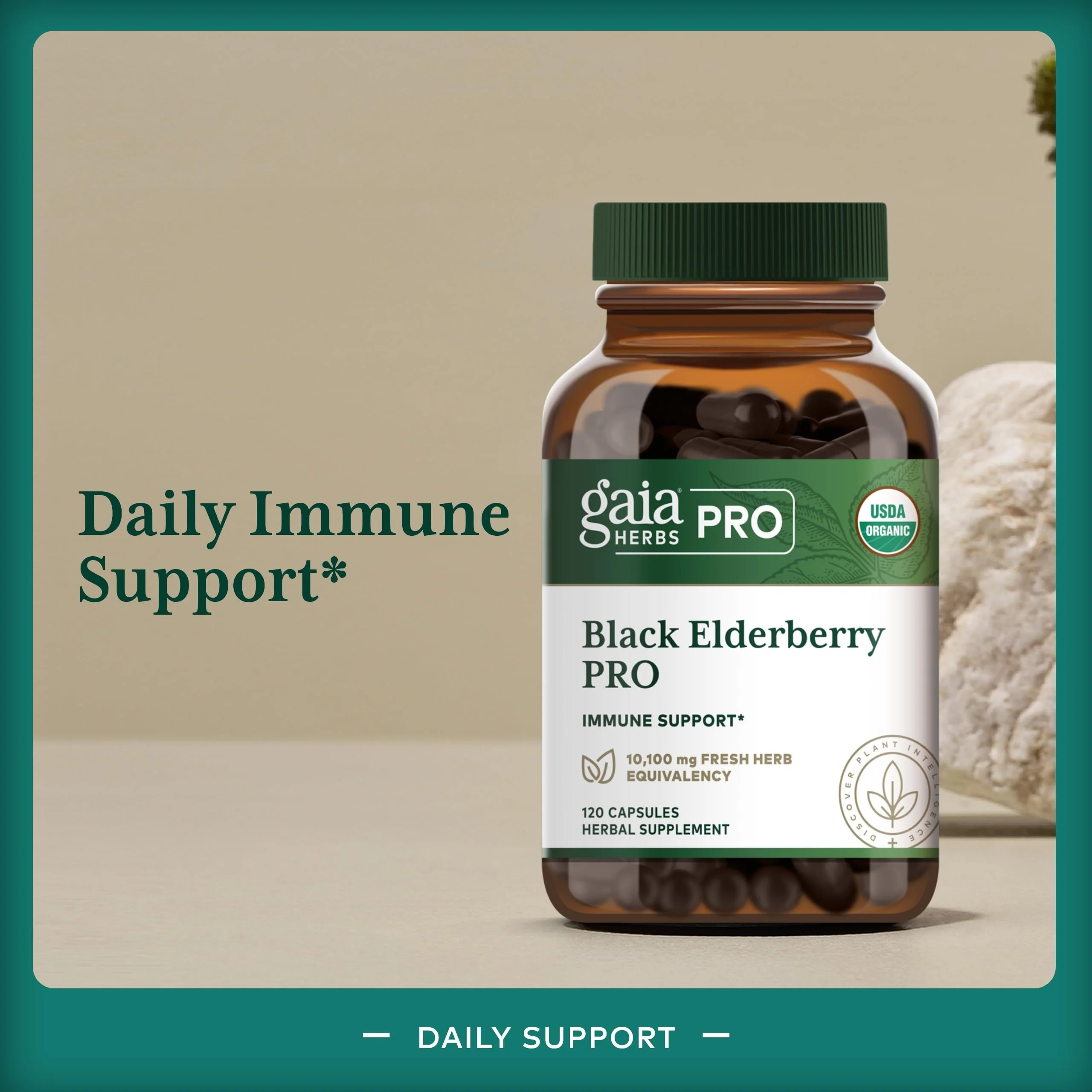 GAIA HERBS PRO Black Elderberry PRO - Immune Support*, Organic Elderberry Extract, Vegan, 120 Capsules (60 Servings) - Image 3