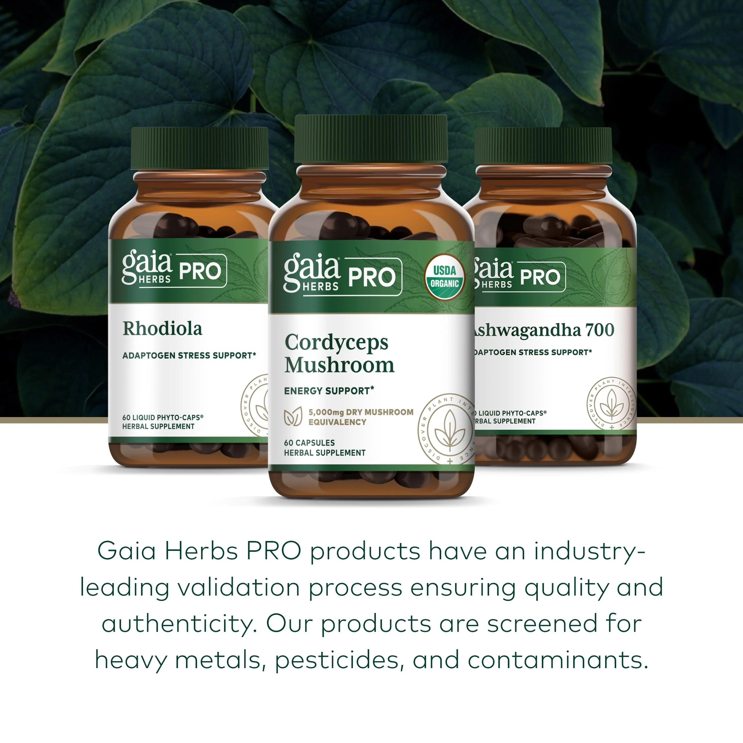 GAIA HERBS PRO Cordyceps Mushroom - 60 Caps | 5,000 mg per 2 Caps | Adaptogenic Energy - Image 13