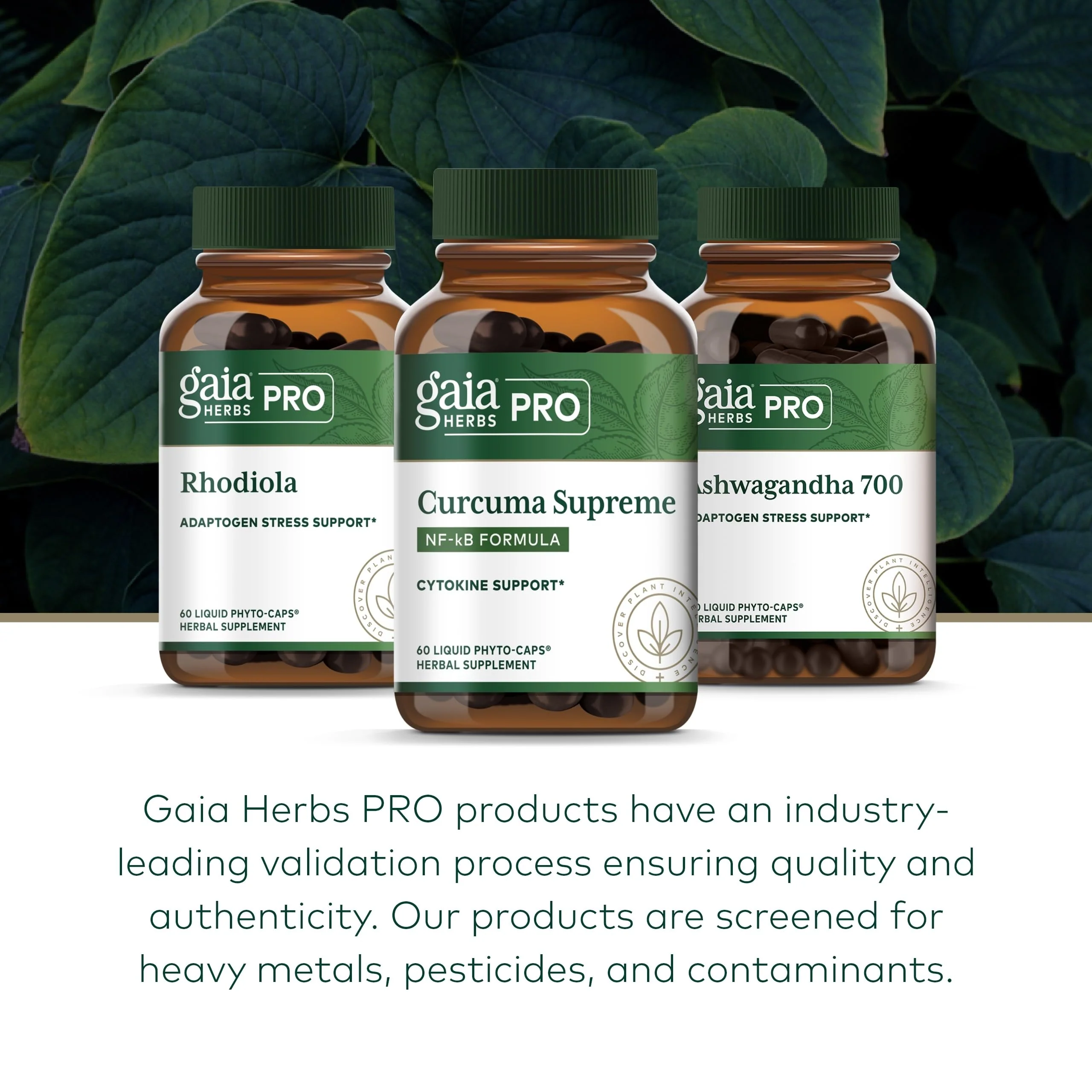 GAIA HERBS PRO Curcuma Supreme – Immune Support, Turmeric + Black Pepper, Organic, 60 Servings - Image 7