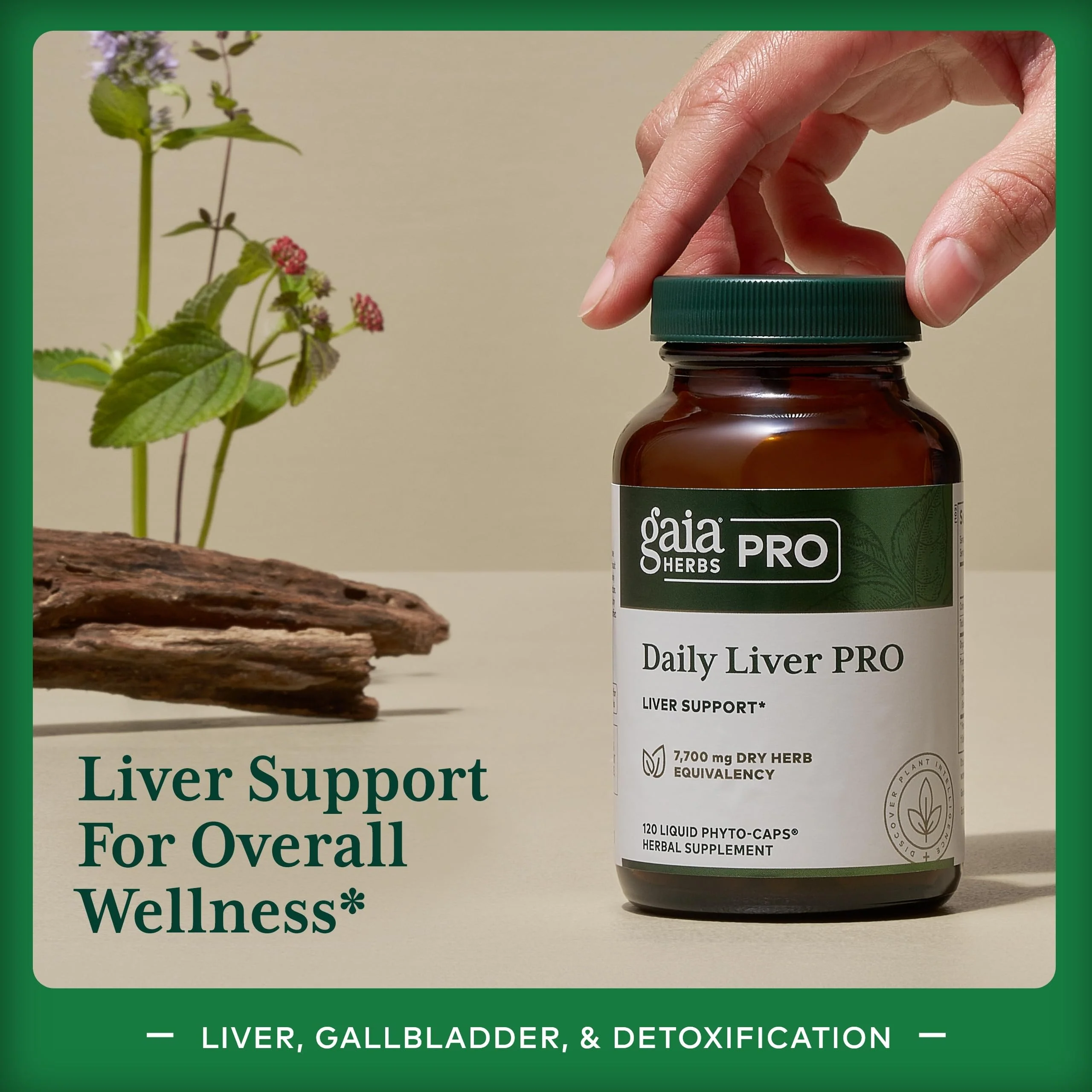 Gaia Herbs Pro Daily Liver Pro – Natural Liver Support with Milk Thistle, Turmeric, Licorice Root | Vegan, Organic & Gluten-Free | 120 Liquid Phyto-Caps (60 Servings) - Image 3