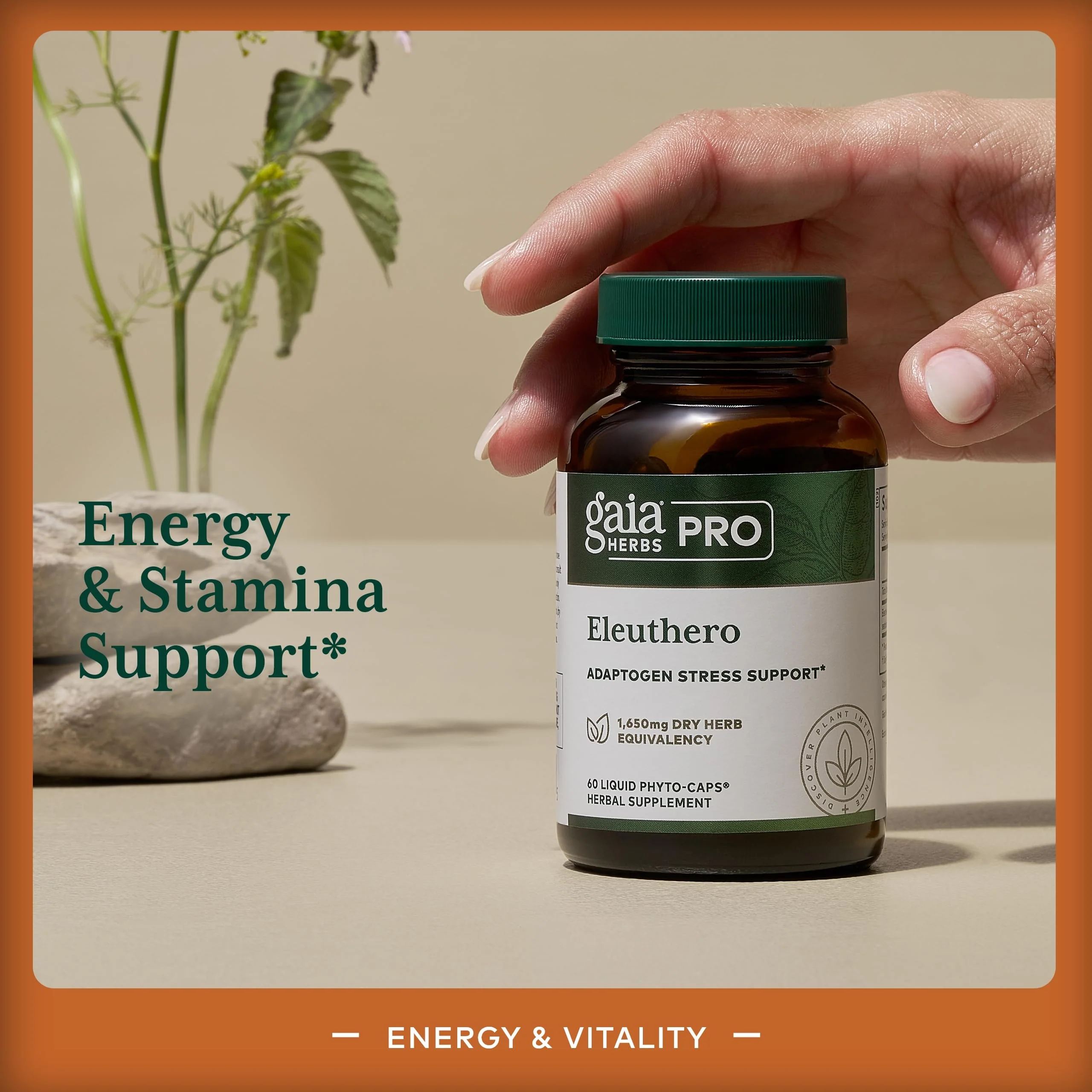 Gaia Herbs PRO Eleuthero - Adaptogen Supplement for Stress & Energy | 60 Vegan Liquid Phyto-Capsules (60 Servings) - Image 3