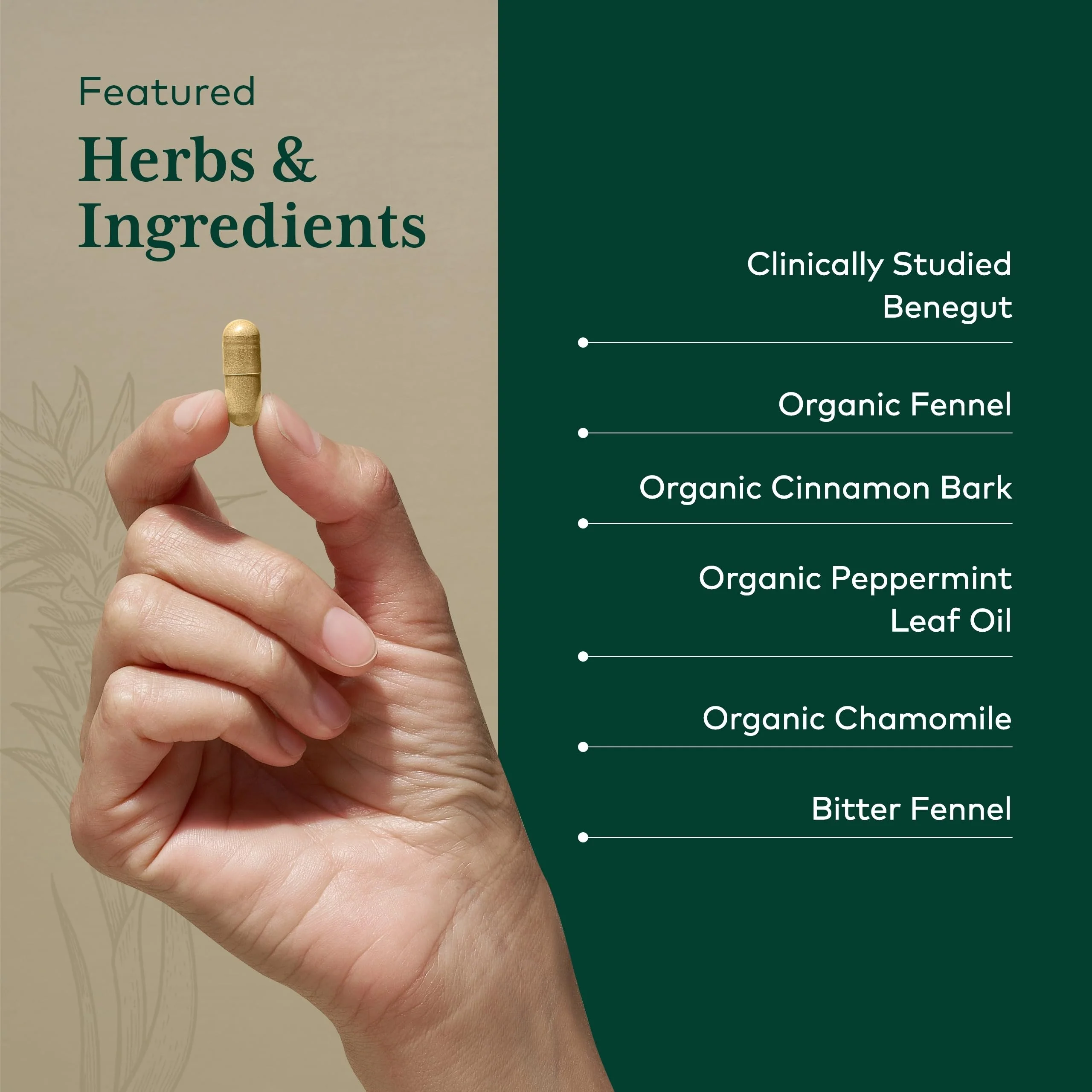 GAIA Herbs PRO GI-BFF Digestive Health | Benegut, Organic Fennel & Cinnamon Bark - 60 Caps - Image 11