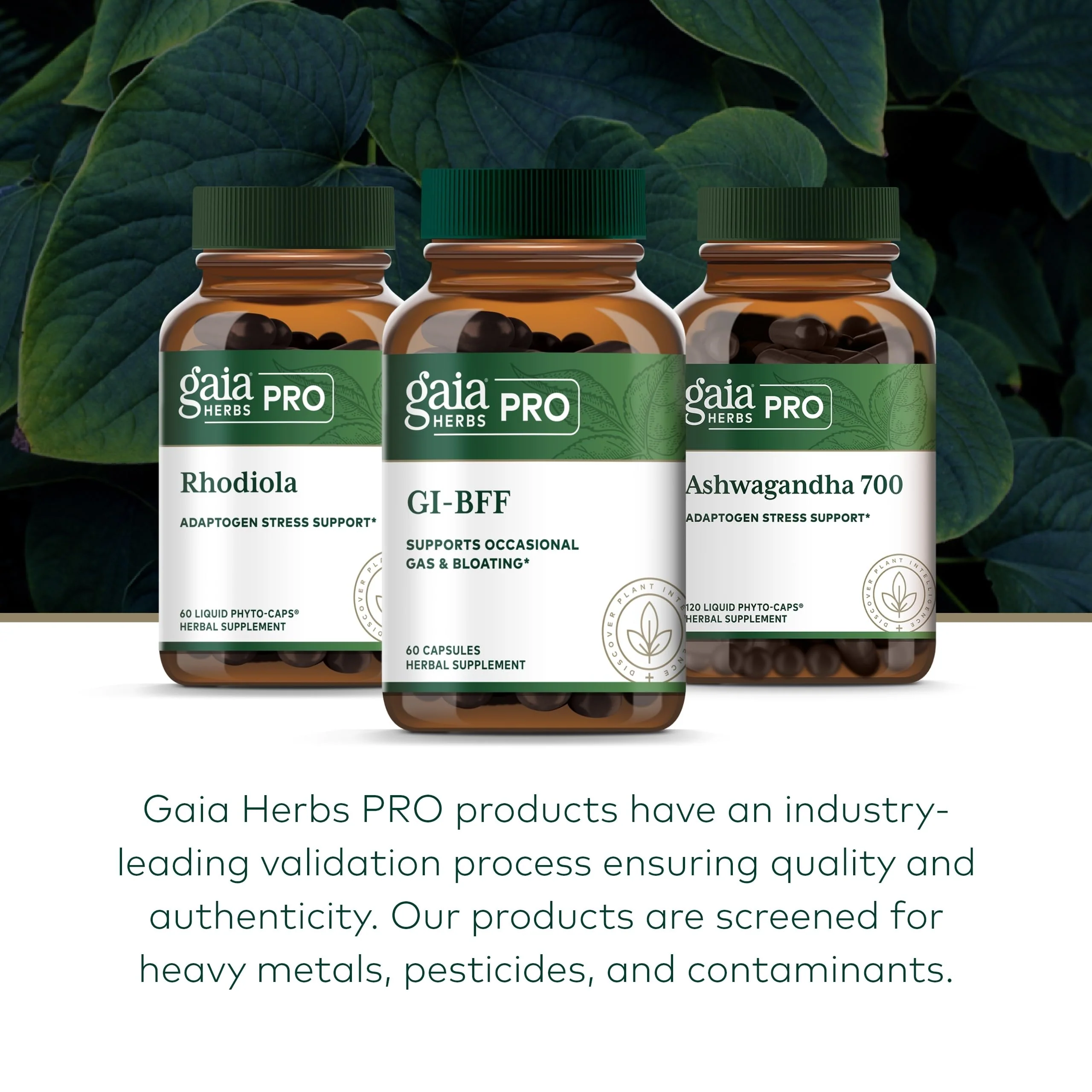 GAIA Herbs PRO GI-BFF Digestive Health | Benegut, Organic Fennel & Cinnamon Bark - 60 Caps - Image 13