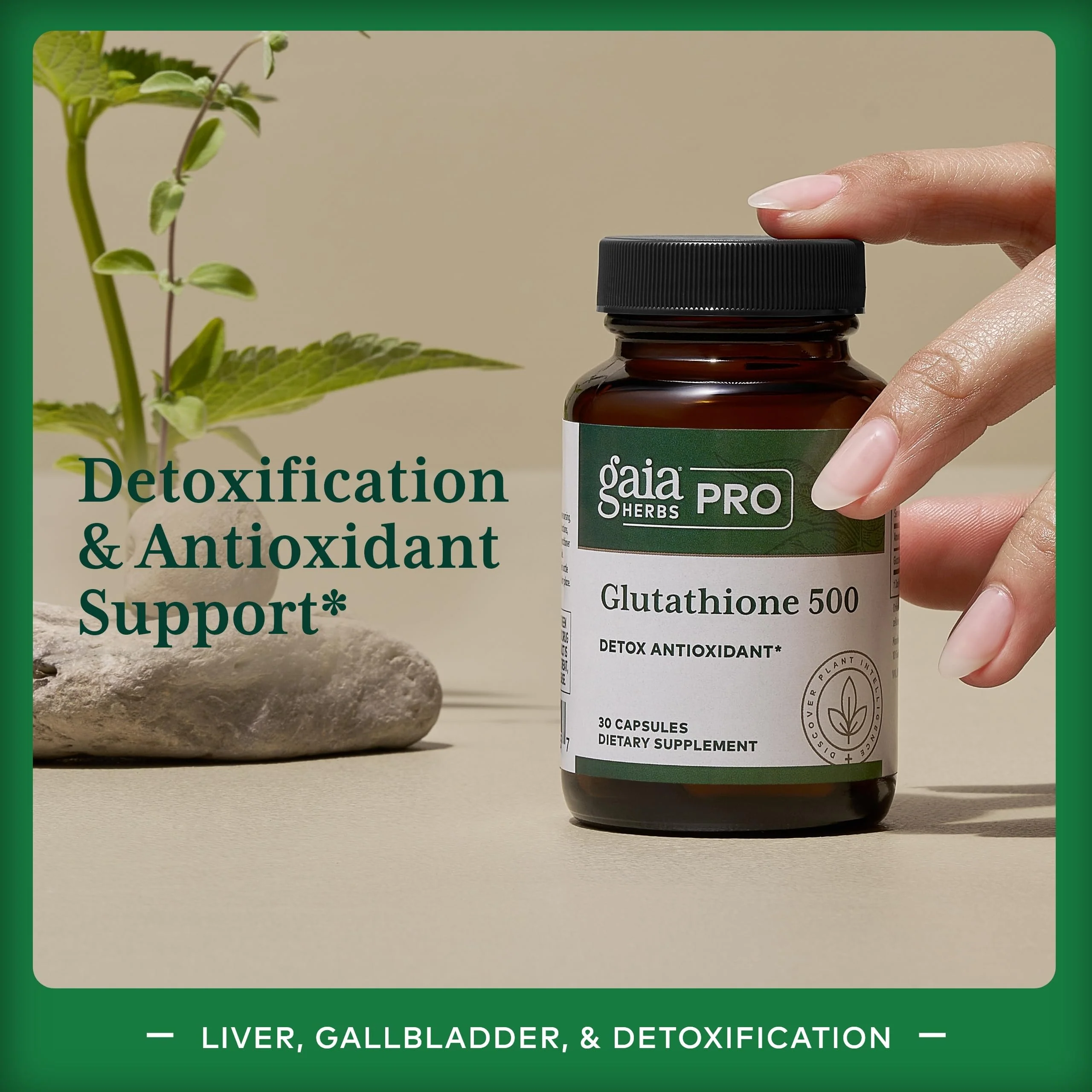 GAIA HERBS PRO Glutathione 500 - Antioxidant Support | 30 Servings | Vegan & Gluten-Free - Image 3