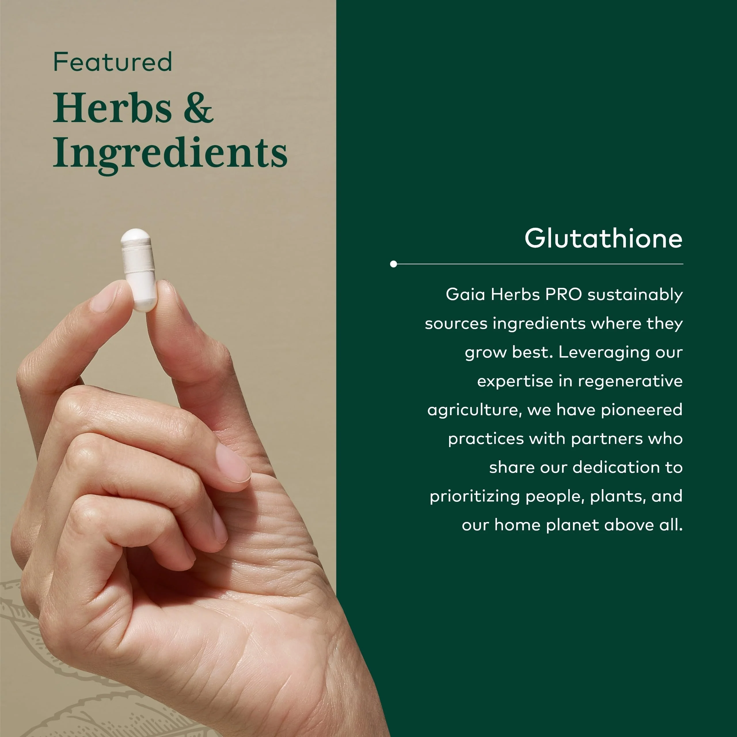 GAIA HERBS PRO Glutathione 500 - Antioxidant Support | 30 Servings | Vegan & Gluten-Free - Image 4
