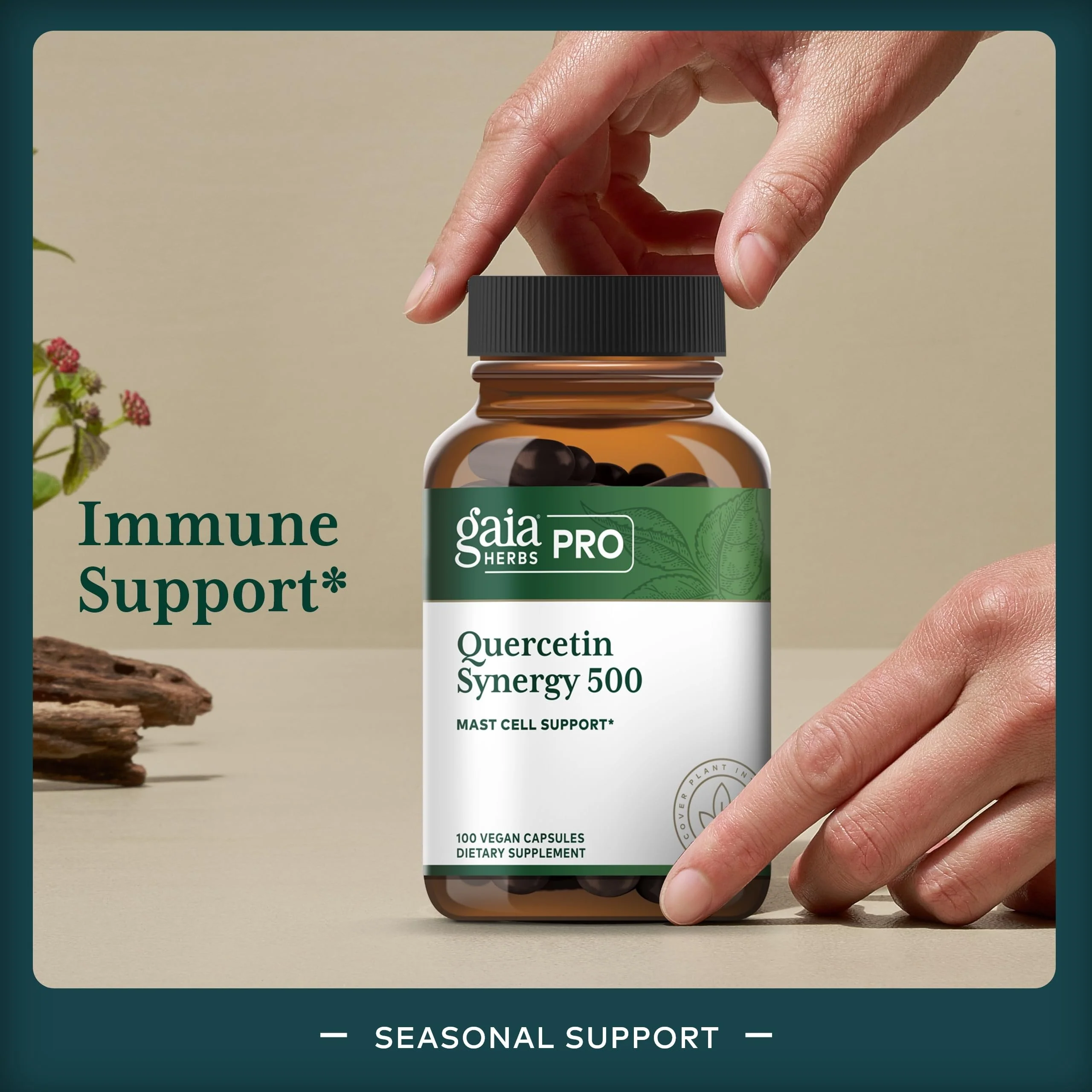 GAIA Herbs PRO Quercetin Synergy 500 – Immune & Cell Health, 100 Capsules - Image 3