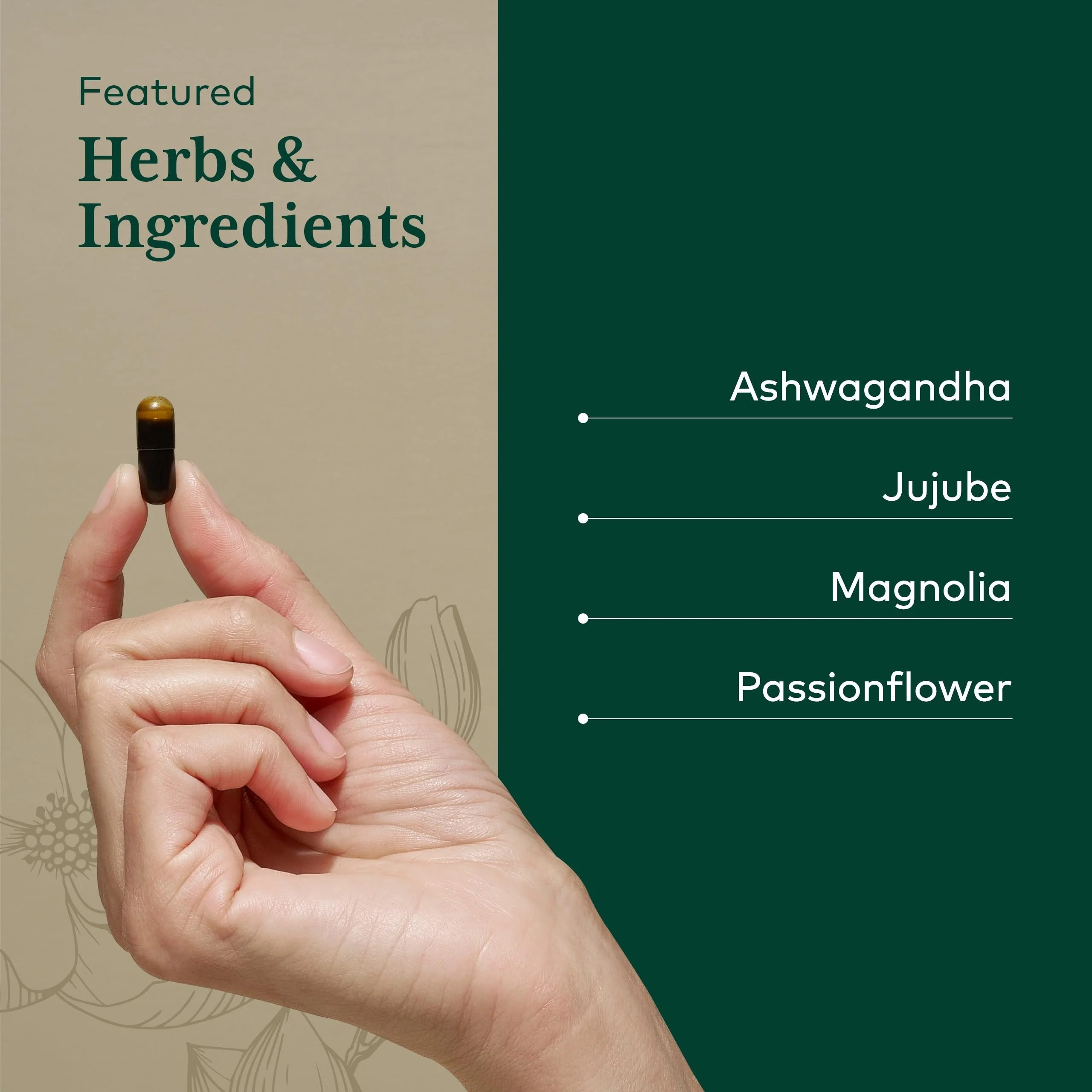 Gaia Herbs PRO Sleep Maintenance | Adrenal Health & Sleep Support (60 capsules) - Image 3