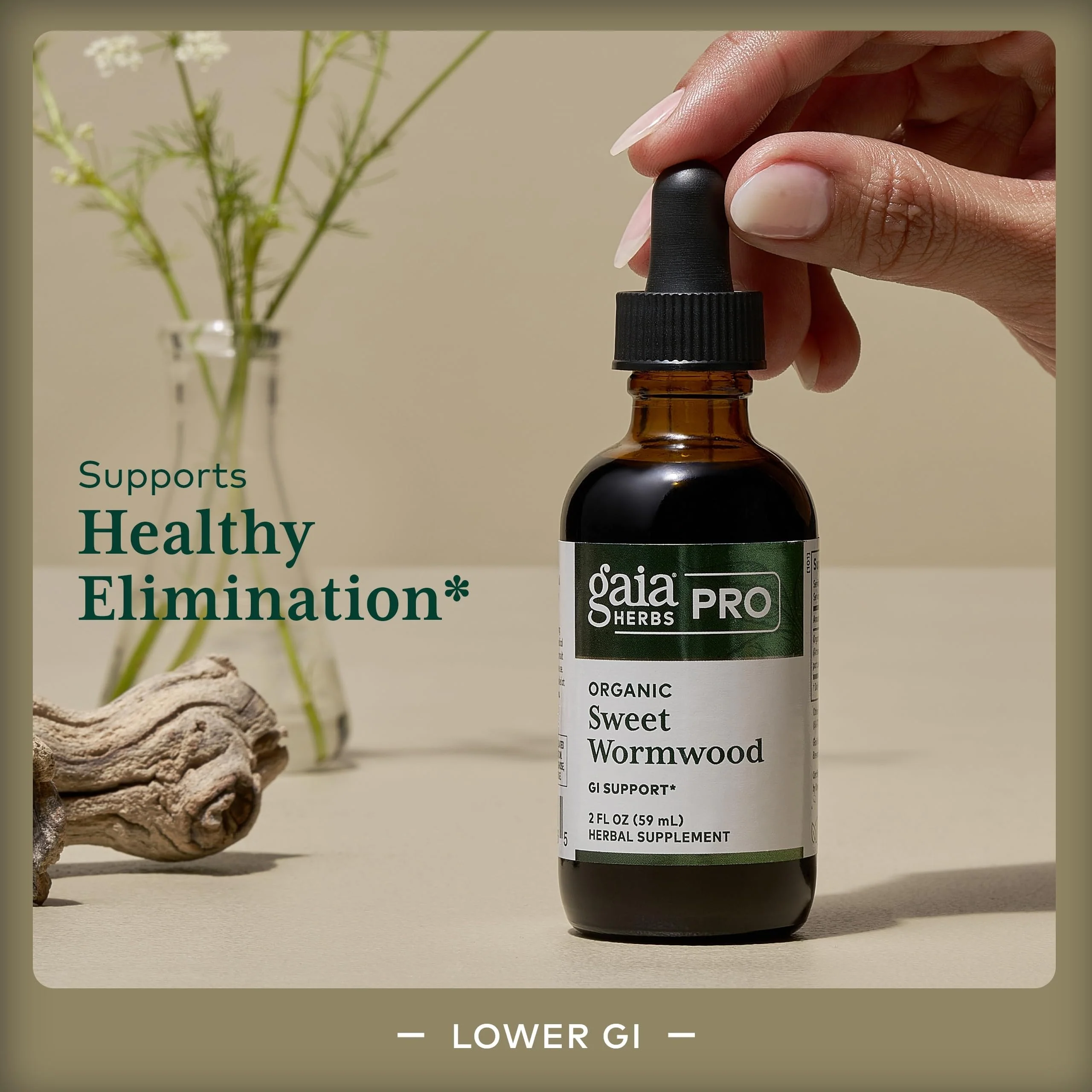 Gaia Herbs Pro Sweet Wormwood - Digestive Health & Elimination Support | 2 fl oz (71 Servings) - Vegan, Gluten-Free & Dairy-Free - Image 3