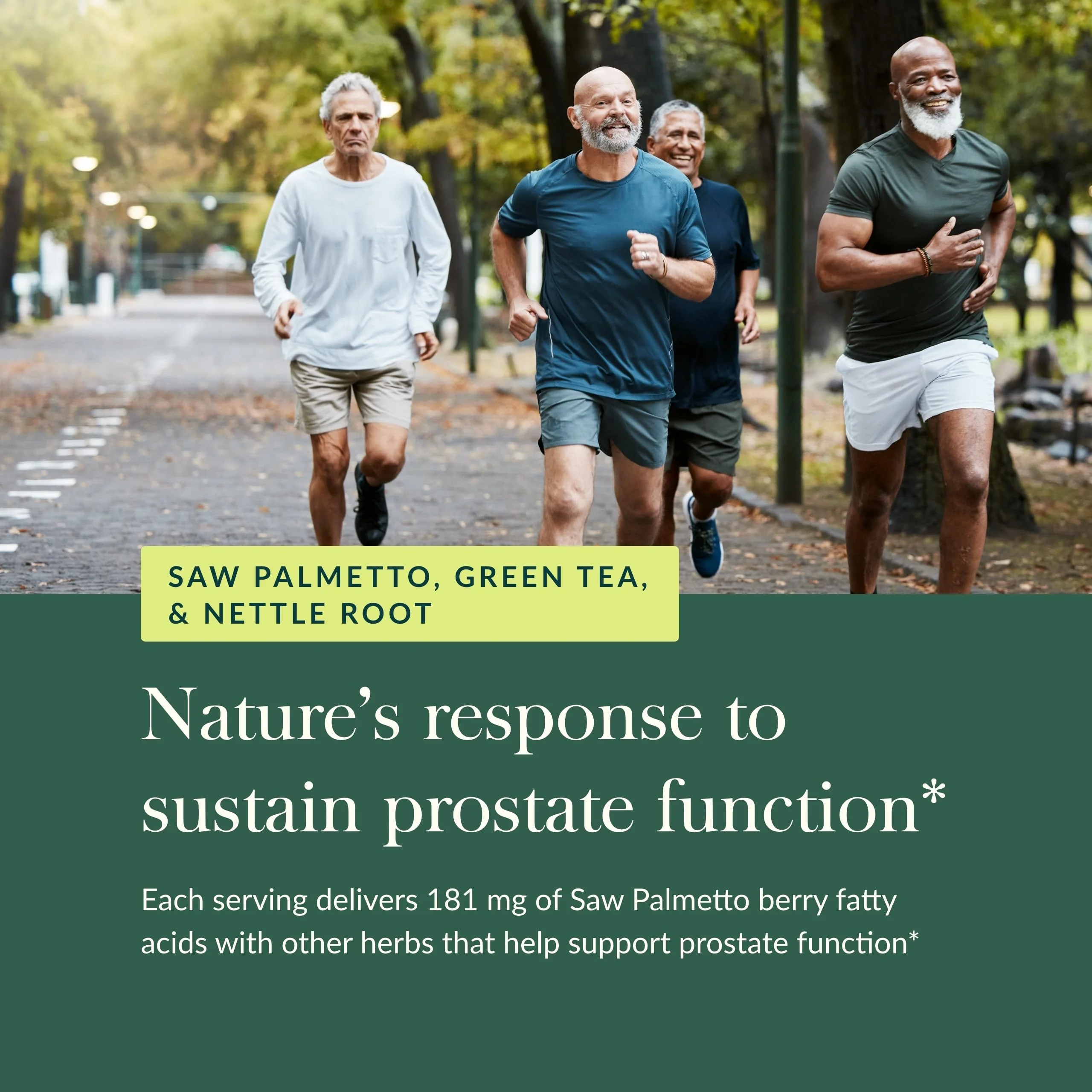 Gaia Herbs Prostate Health – Supports Prostate Function for Men – Saw Palmetto, Green Tea, Nettle Root & White Sage – 60 Vegan Liquid Phyto-Capsules - Image 5