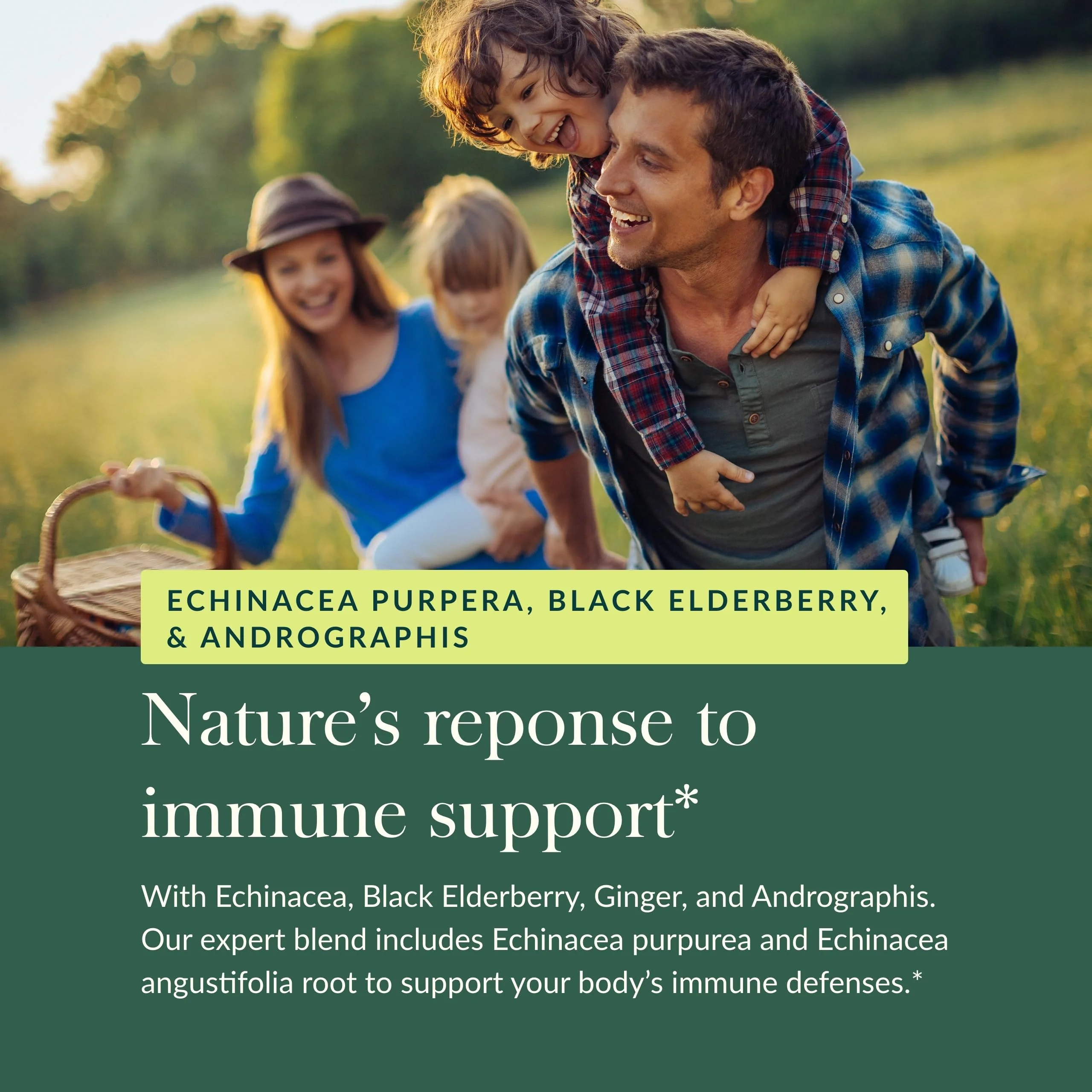Gaia Herbs Quick Defense - Fast-Acting Immune Support Supplement* - Echinacea, Black Elderberry, Ginger & Andrographis - 80 Vegan Liquid Phyto-Caps (40 Servings) - Image 3