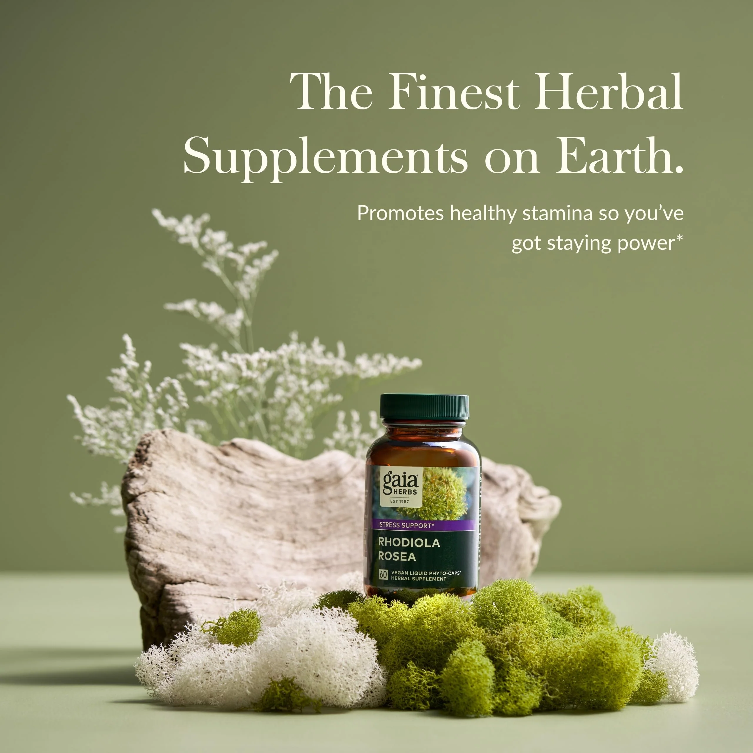 Gaia Herbs Rhodiola Rosea - Stress Support & Endurance | 60 Vegan Liquid Phyto-Capsules - Image 2