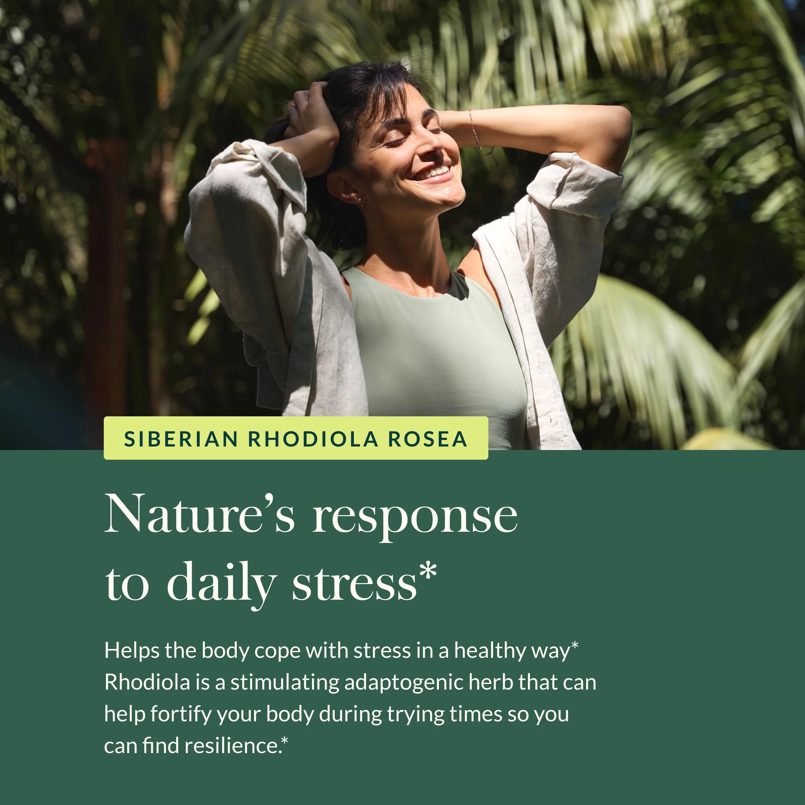 Gaia Herbs Rhodiola Rosea - Stress Support & Endurance | 60 Vegan Liquid Phyto-Capsules - Image 5
