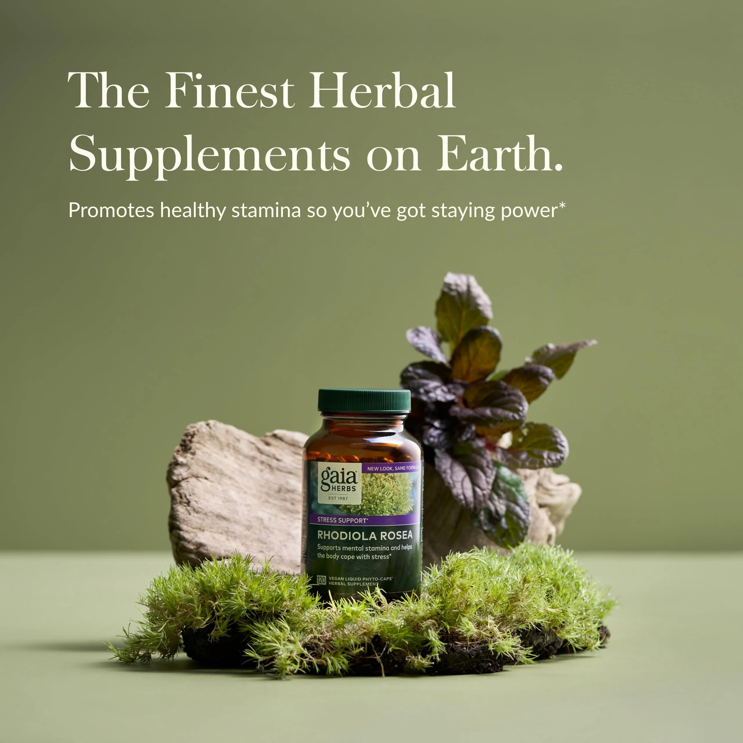 Gaia Herbs Rhodiola Rosea - Stress Support & Endurance - Siberian Root Extract - 120 Vegan Liquid Phyto-Caps (120 Servings) - Image 2