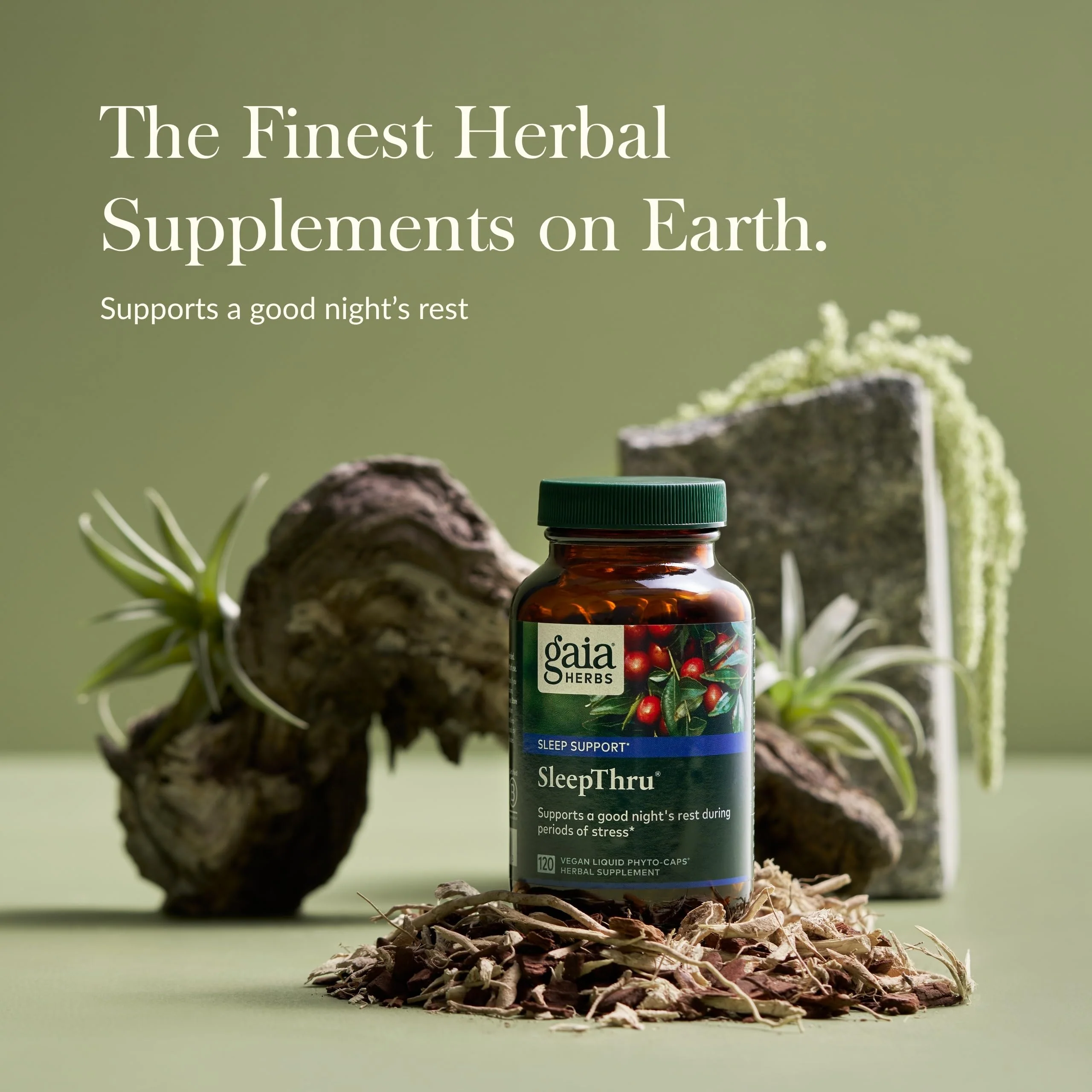 Gaia Herbs SleepThru – Sleep Support with Ashwagandha, Magnolia Bark, Passionflower & Jujube Date | 120 Vegan Liquid Phyto-Caps (60 Servings) - Image 3