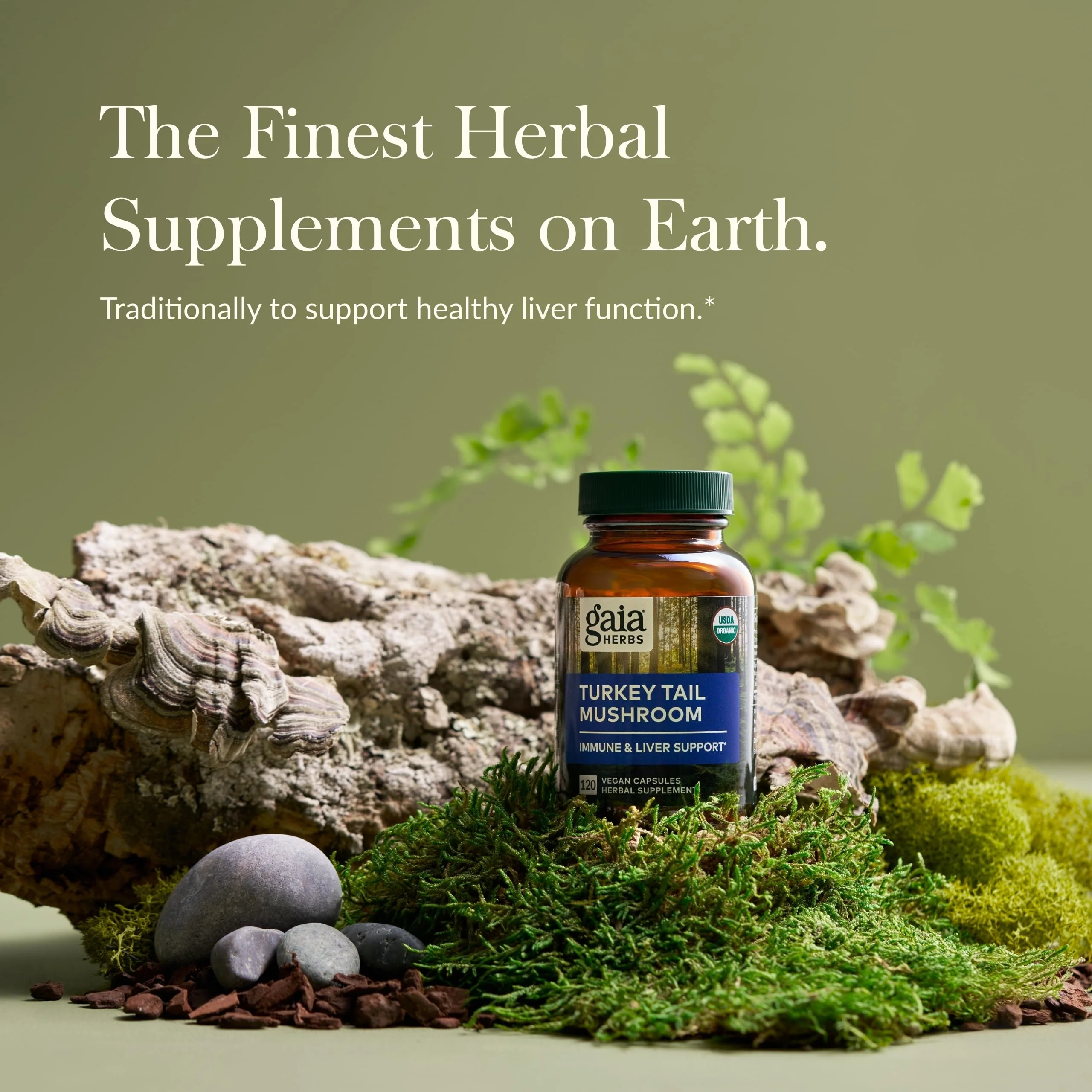 Gaia Herbs Turkey Tail Mushroom – Immune Support & Liver Health, 120 Vegan Capsules - Image 4