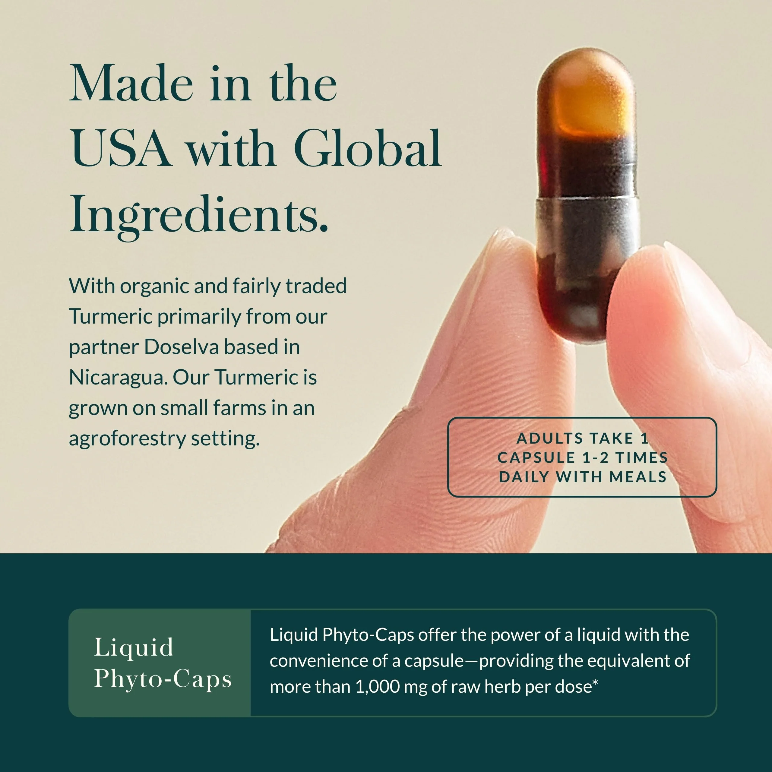 Gaia Herbs Turmeric Supreme Extra Strength - Supports Occasional Discomfort & Mobility - 120 Vegan Liquid Phyto-Caps - Image 13