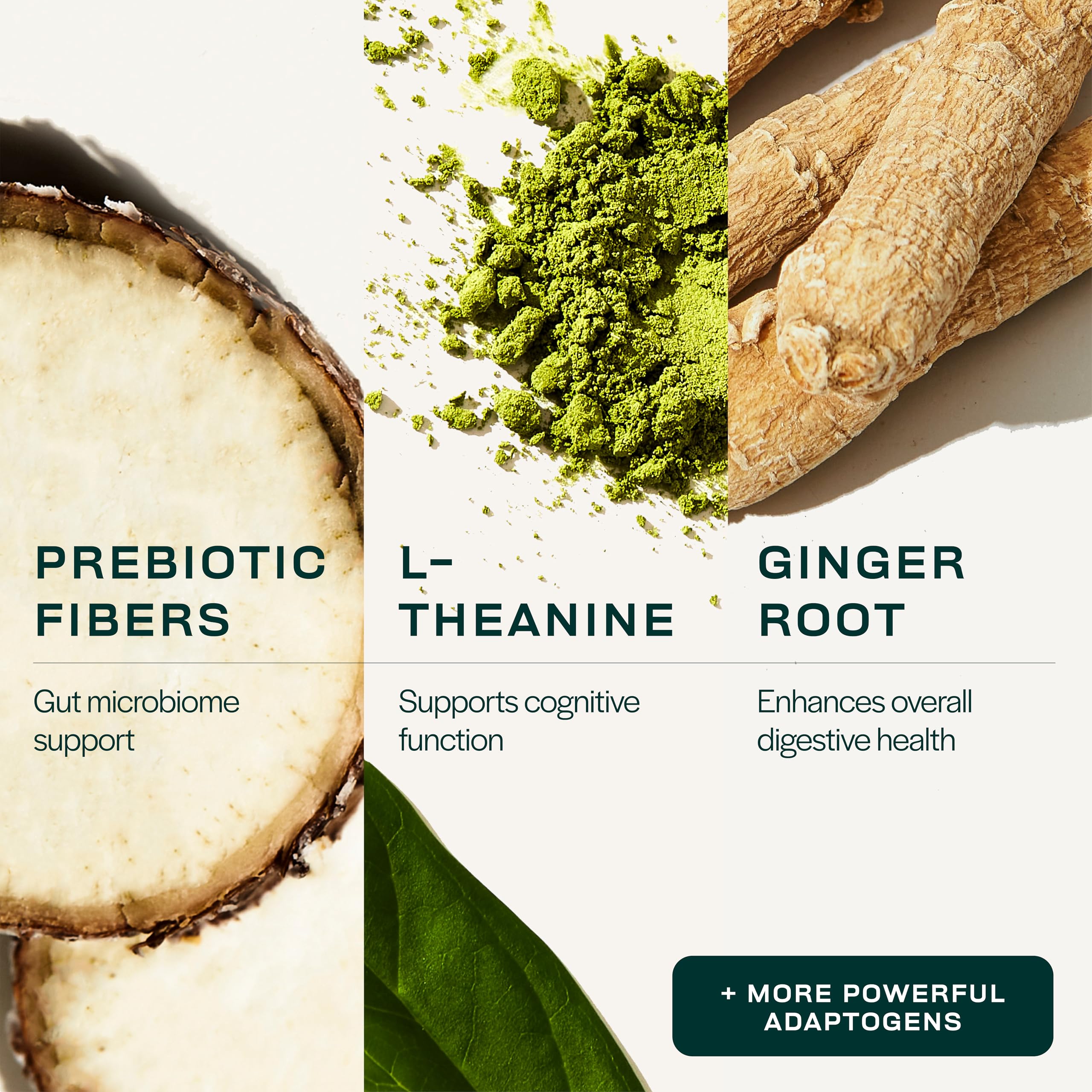 Gainful Daily Performance Greens Powder – Coconut Pineapple, Gut Health & Energy - Image 5