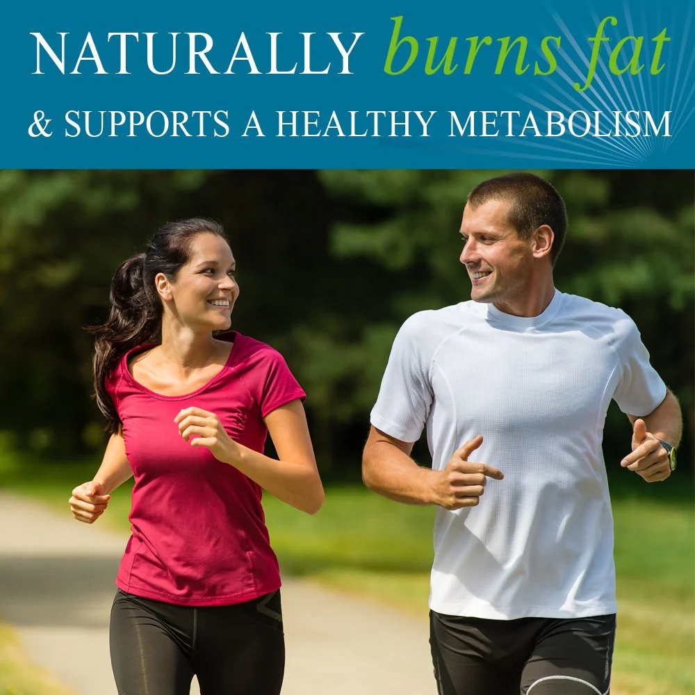 Garden of Life FucoThin Fucoxanthin Supplements – Non-Stimulant Fat Burner, 180 Count - Image 2