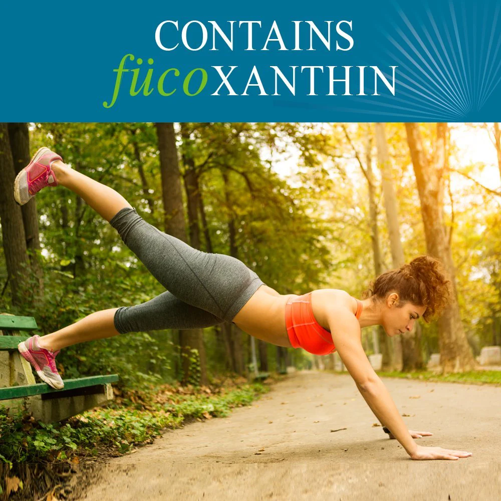 Garden of Life FucoThin Fucoxanthin Supplements – Non-Stimulant Fat Burner, 180 Count - Image 3