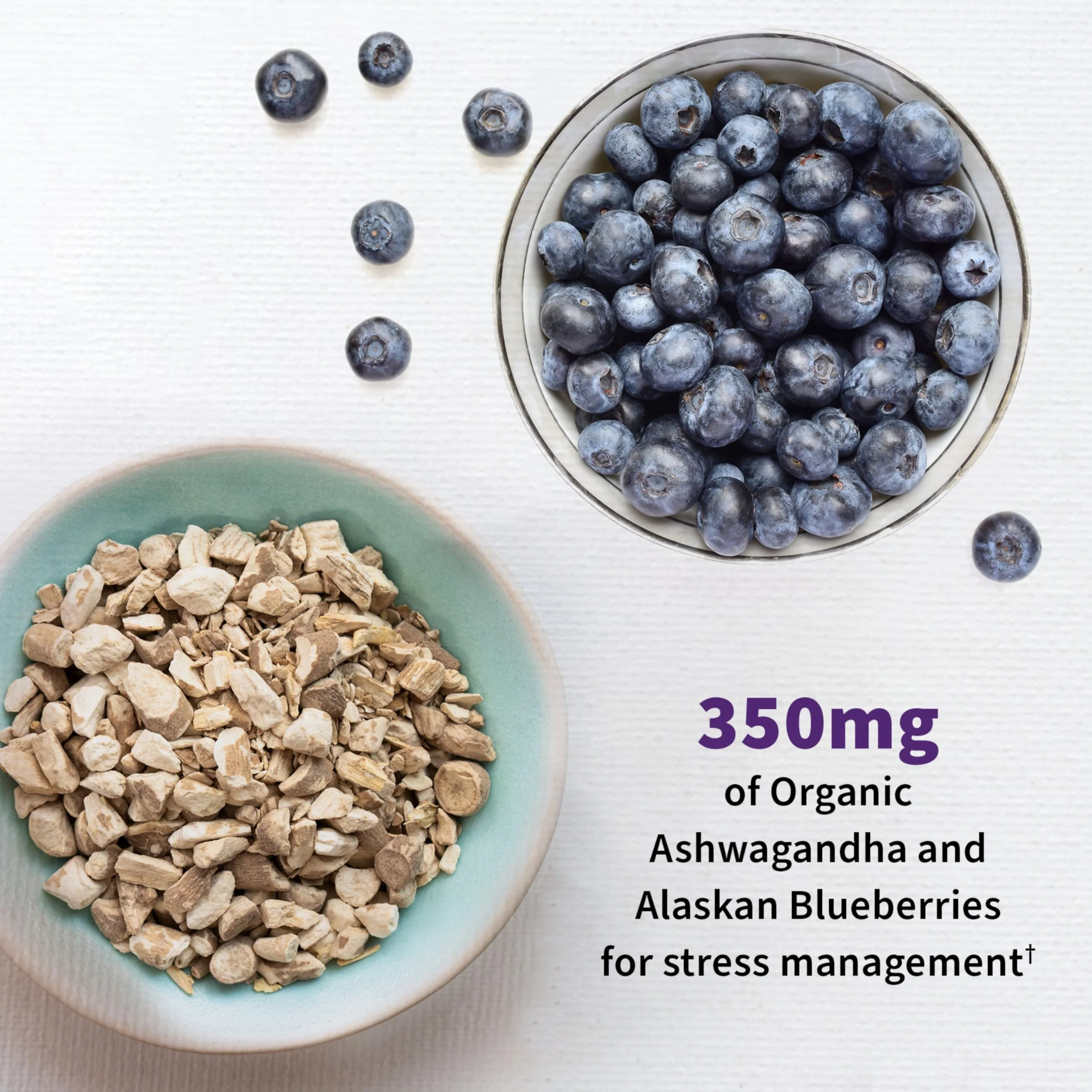 Garden of Life Mood+ Probiotic with Ashwagandha – 60 Veggie Caps, Gluten Free & Non-GMO - Image 4
