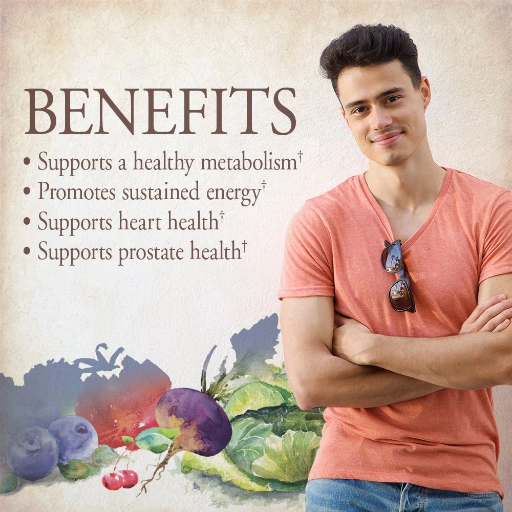 Garden of Life Once Daily Men's Multivitamin – Organic Vegan for Men, Prostate & Heart Support, 60 Tablets - Image 3