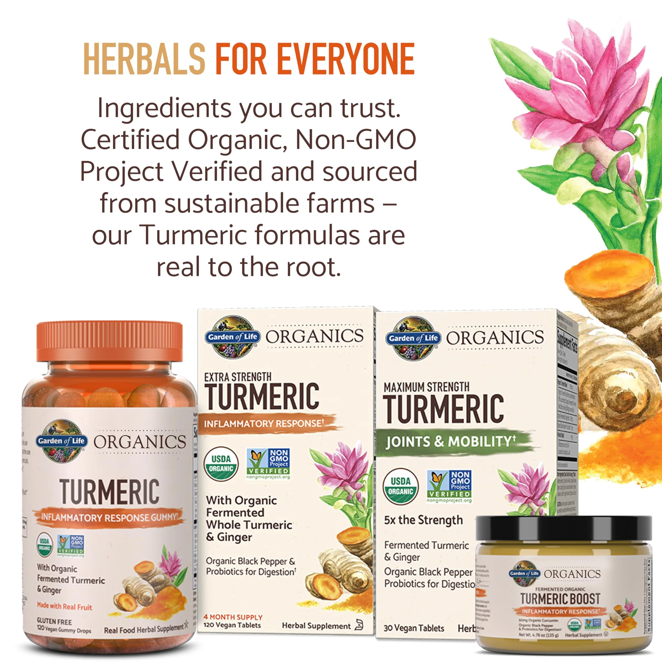 Garden of Life Organic Turmeric Extra Strength 100mg Curcumin – 120 Tablets - Image 7