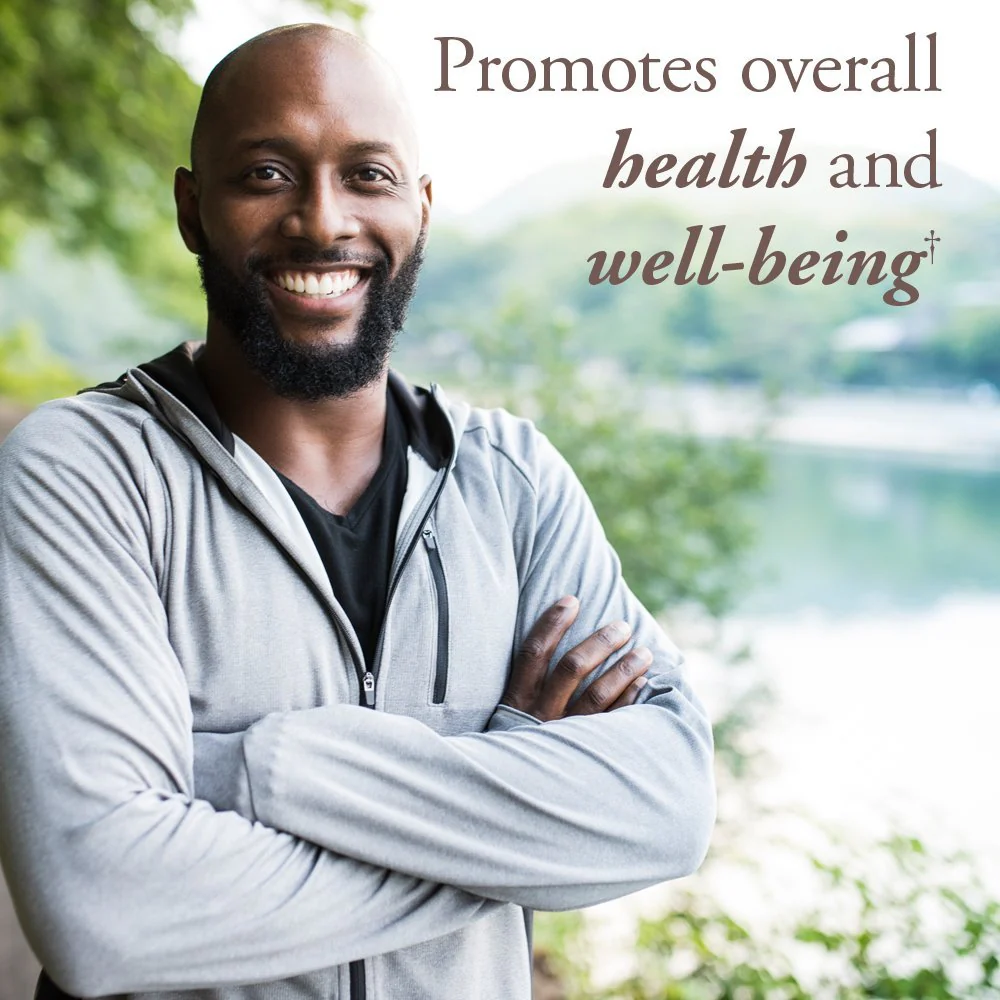Garden of Life Organics Organics Whole Food Multivitamin for Men 40+ 120 Tablets | Vegan & Certified Organic - Image 3