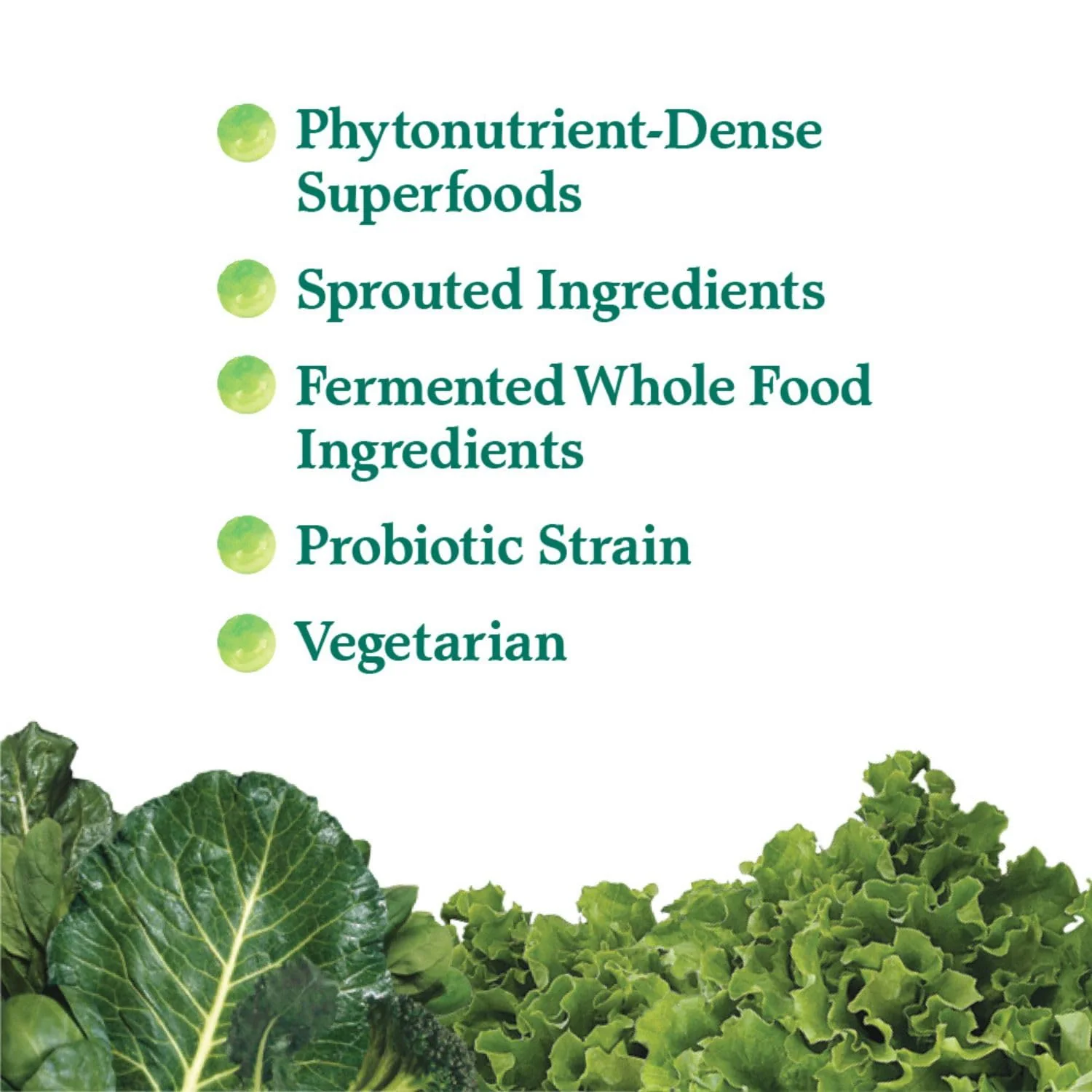 Garden of Life Perfect Food Super Green Formula – 30 Servings, 45 Superfoods - Image 10
