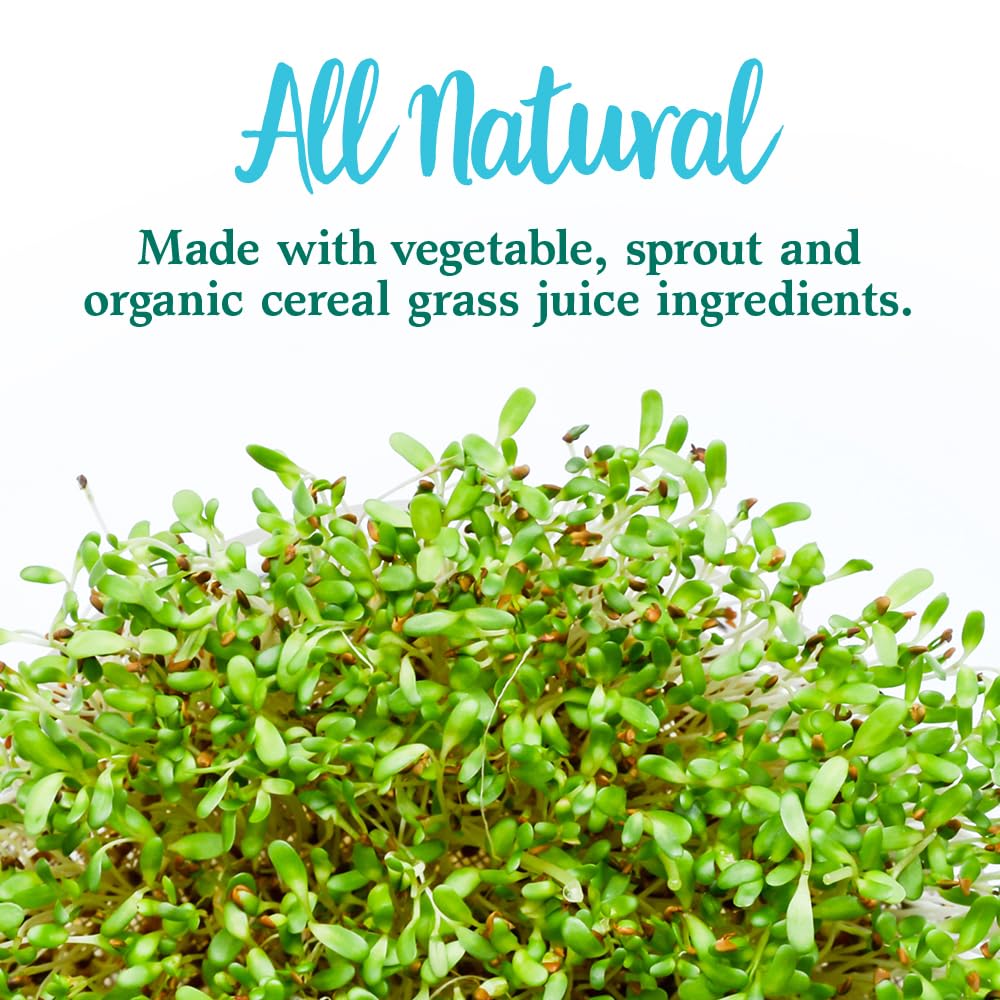 Garden of Life Perfect Food Super Green Formula – 30 Servings, 45 Superfoods - Image 7