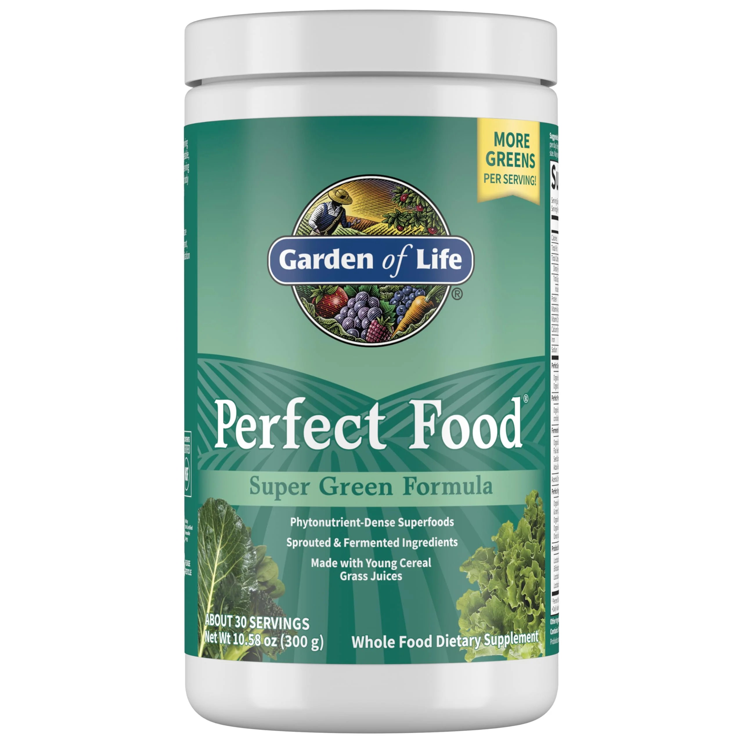 Garden of Life Perfect Food Super Green Formula – 30 Servings, 45 Superfoods - Image 9